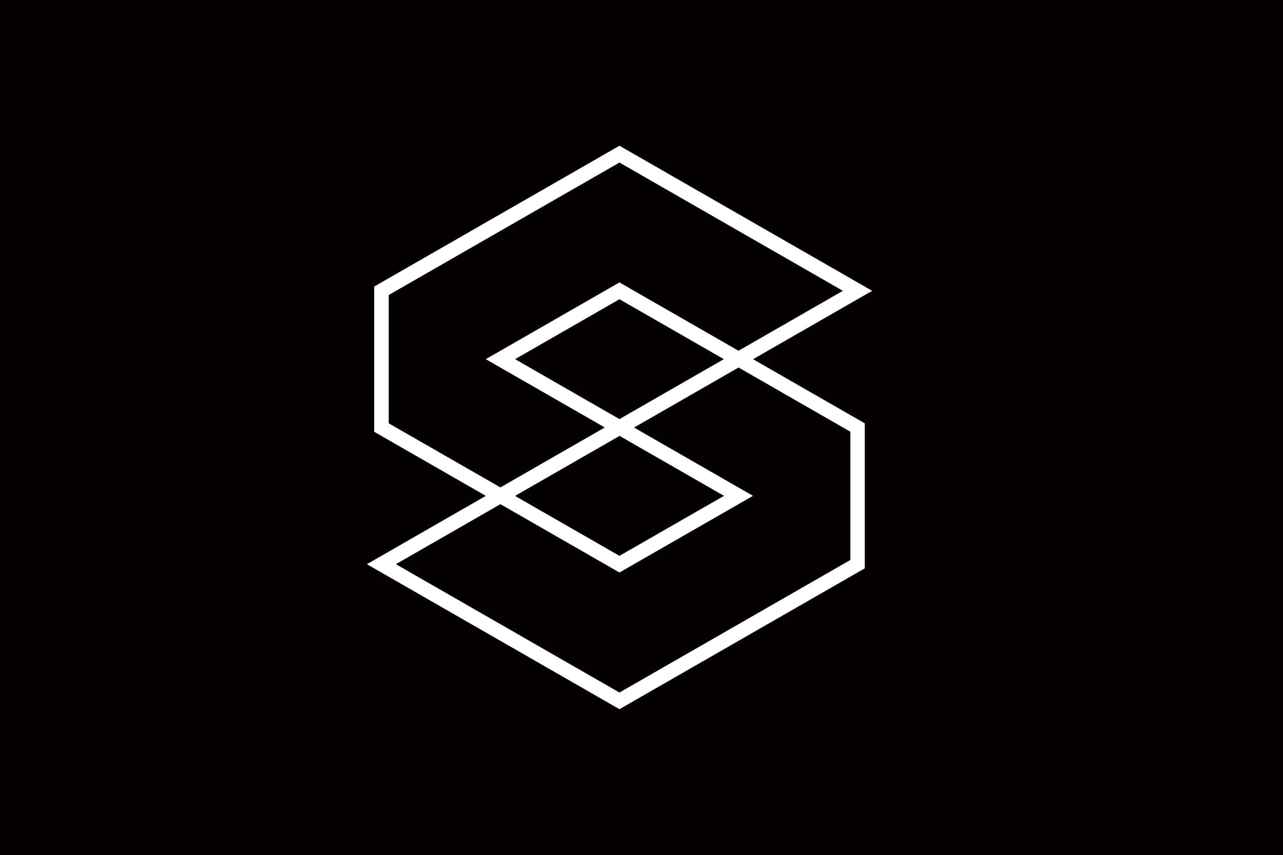 ©Steven Ranson Logotype Papercut Solid 2026.jpg