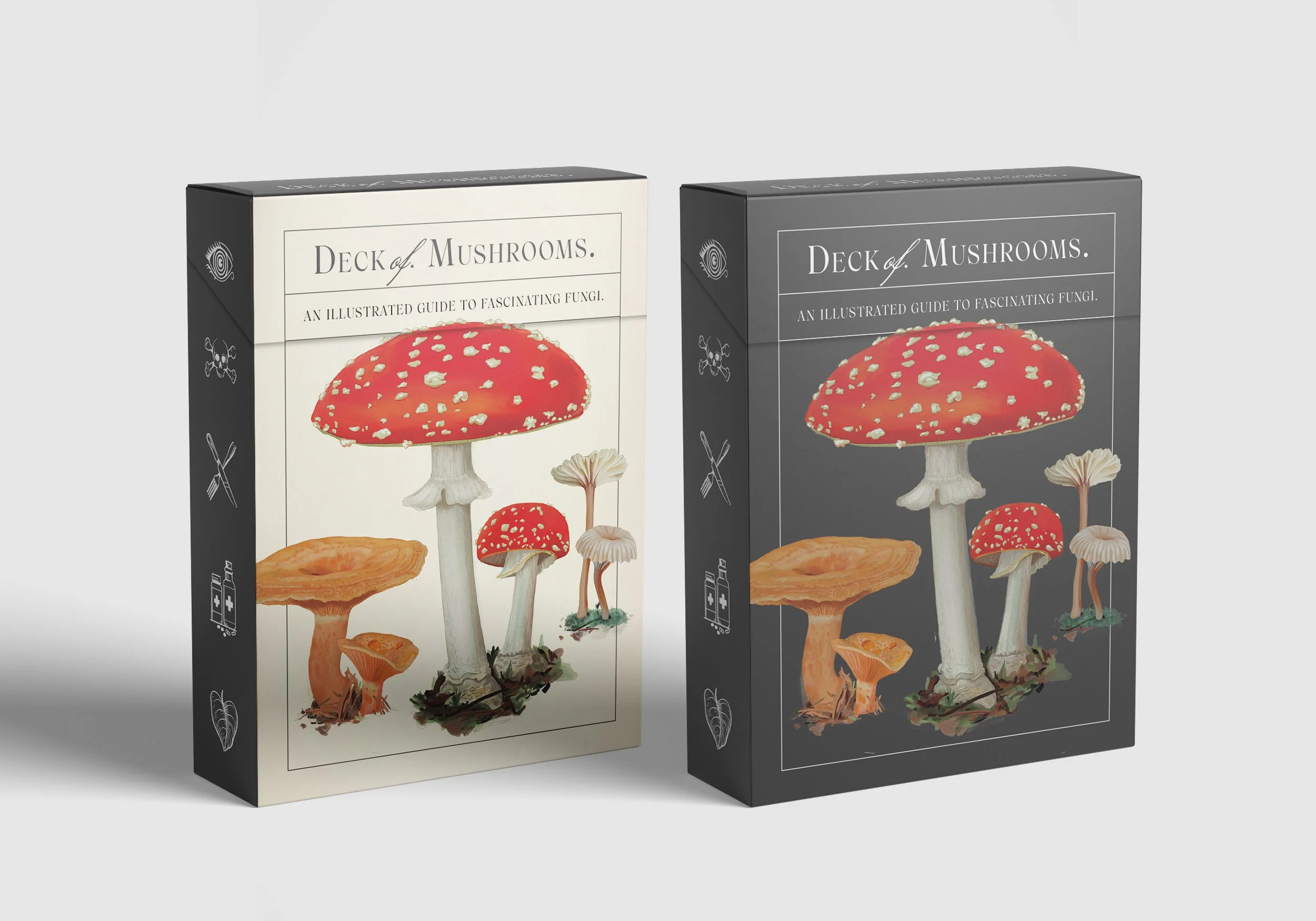 ©Steven Ranson Mushrooms Cards Box 2026.jpg