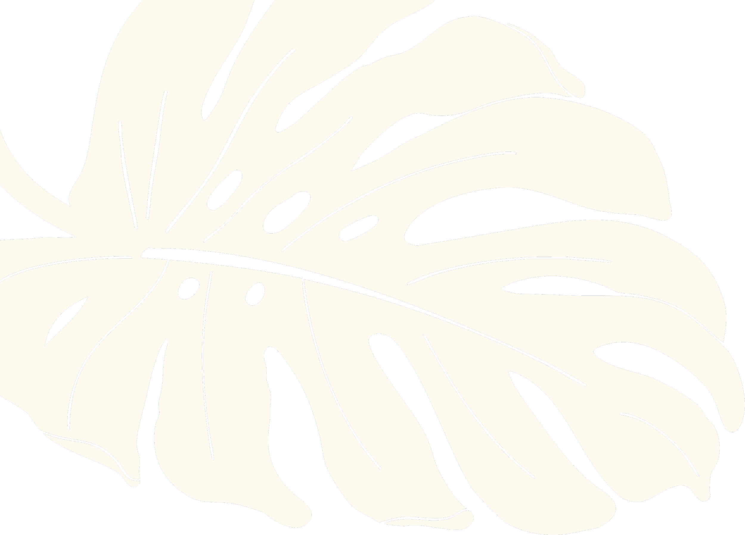 Black and white illustration of a large tropical leaf with detailed vein patterns.