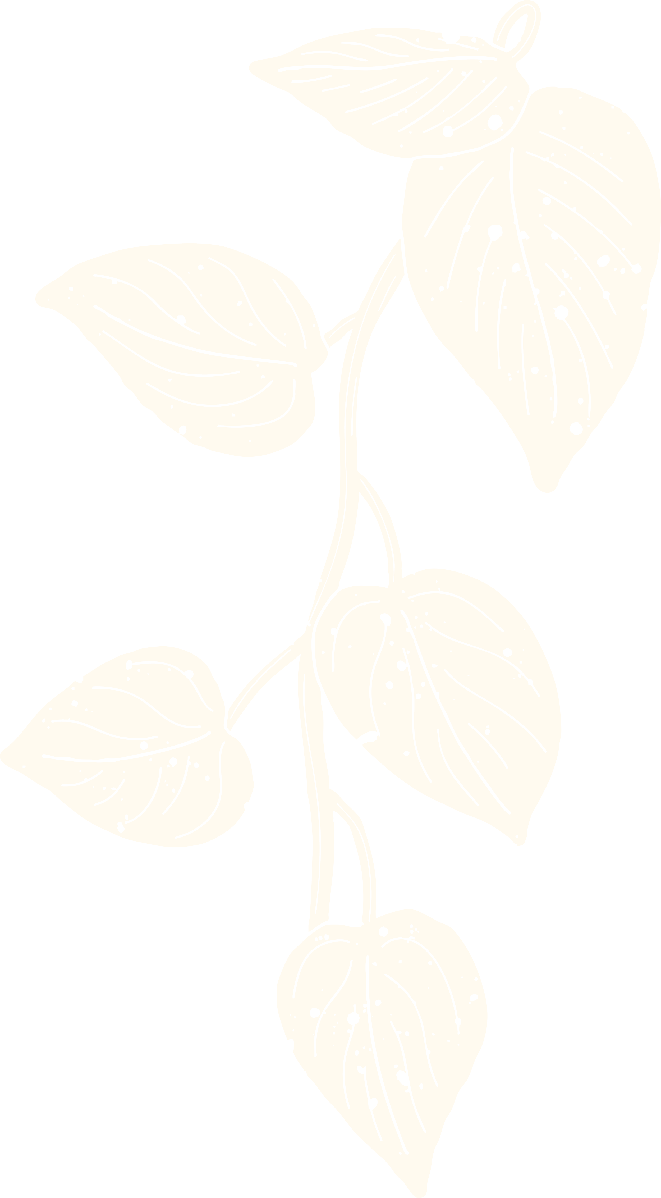 Line drawing of a plant with five leaves connected to a stem, on a black background.