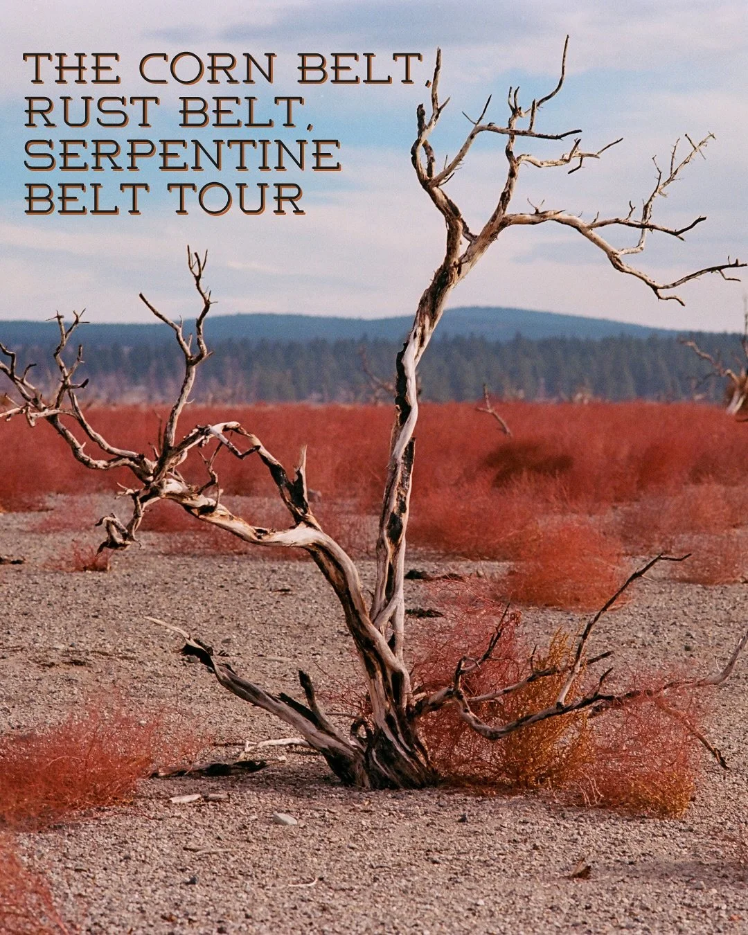 To be a fly on the van during James Norman and Daryl Gussin&rsquo;s &ldquo;Corn Belt, Rust Belt, Serpentine Belt&rdquo; poetry tour would be a highway-hearted dream&mdash;equal parts chaos, camaraderie, and verse. Luckily, you don&rsquo;t need to sto