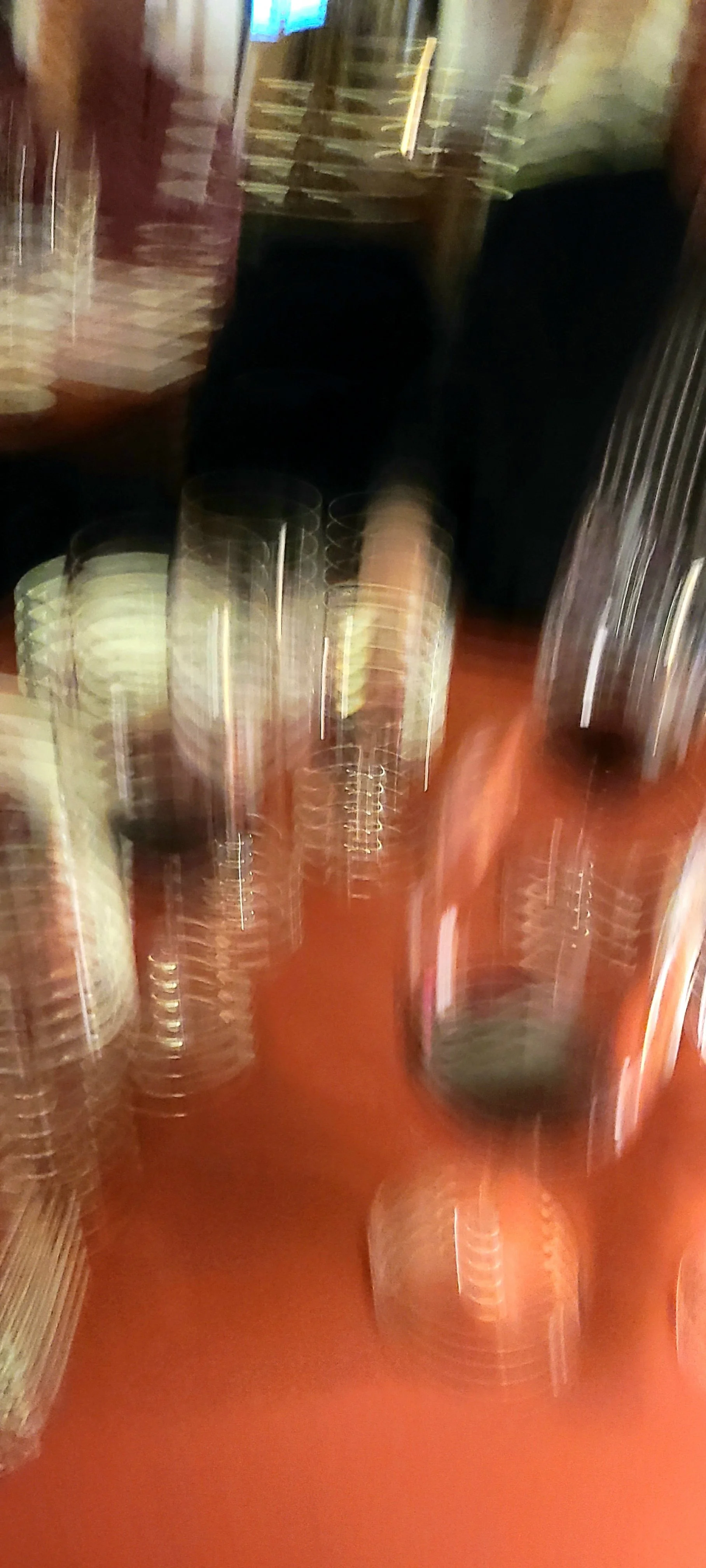 9_ECGladstone_Accidental Art.jpg