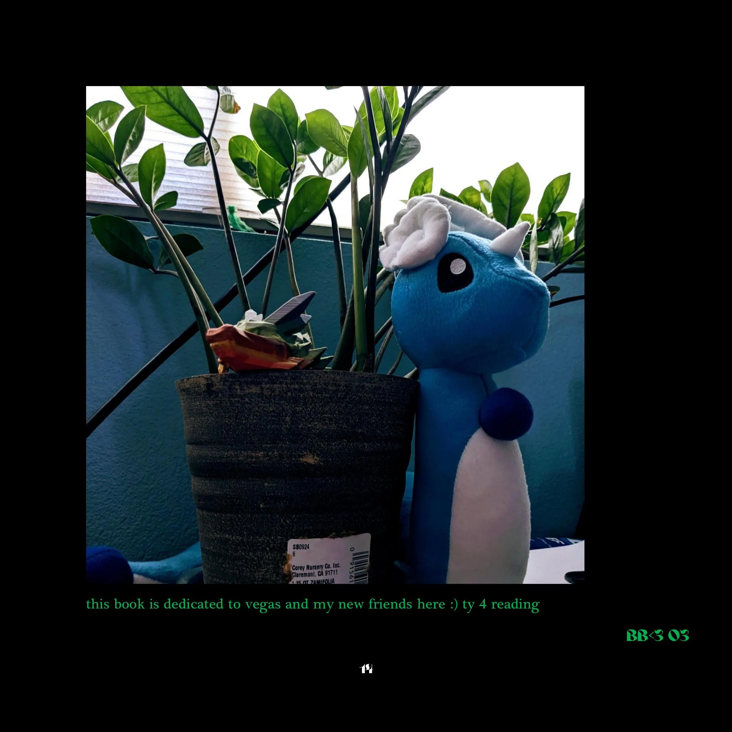 0015.jpg