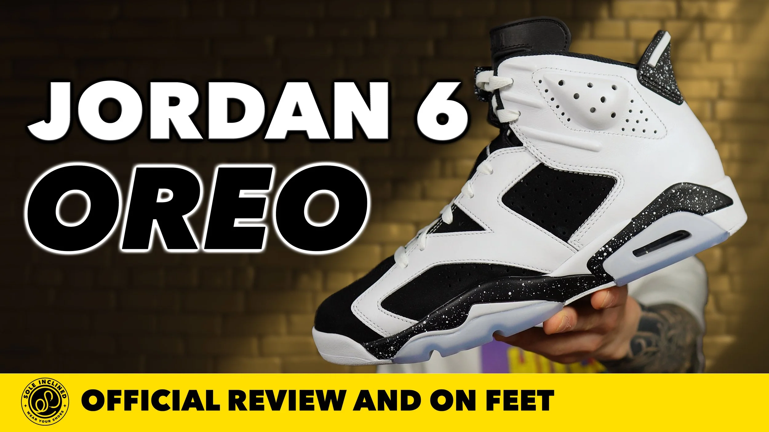 Air Jordan 6 'Oreo' In Depth Review and On Feet!