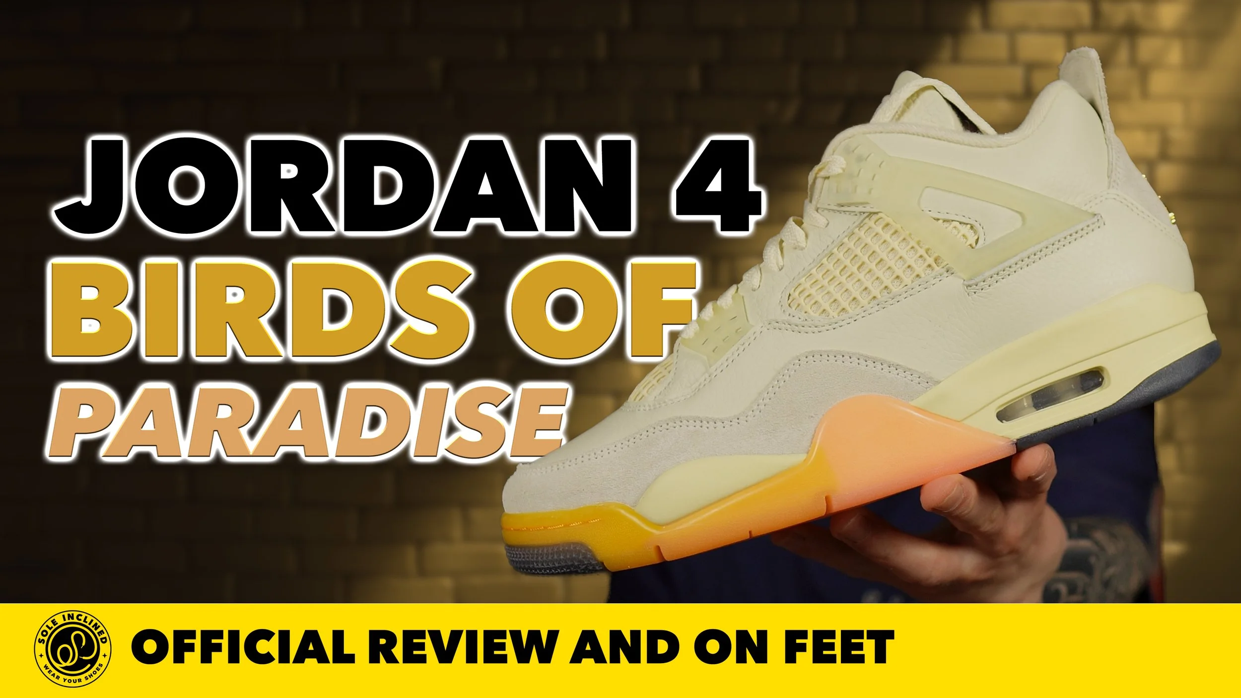 Air Jordan 4 'Birds of Paradise' In Depth Review and On Feet! Lace Swap Included.