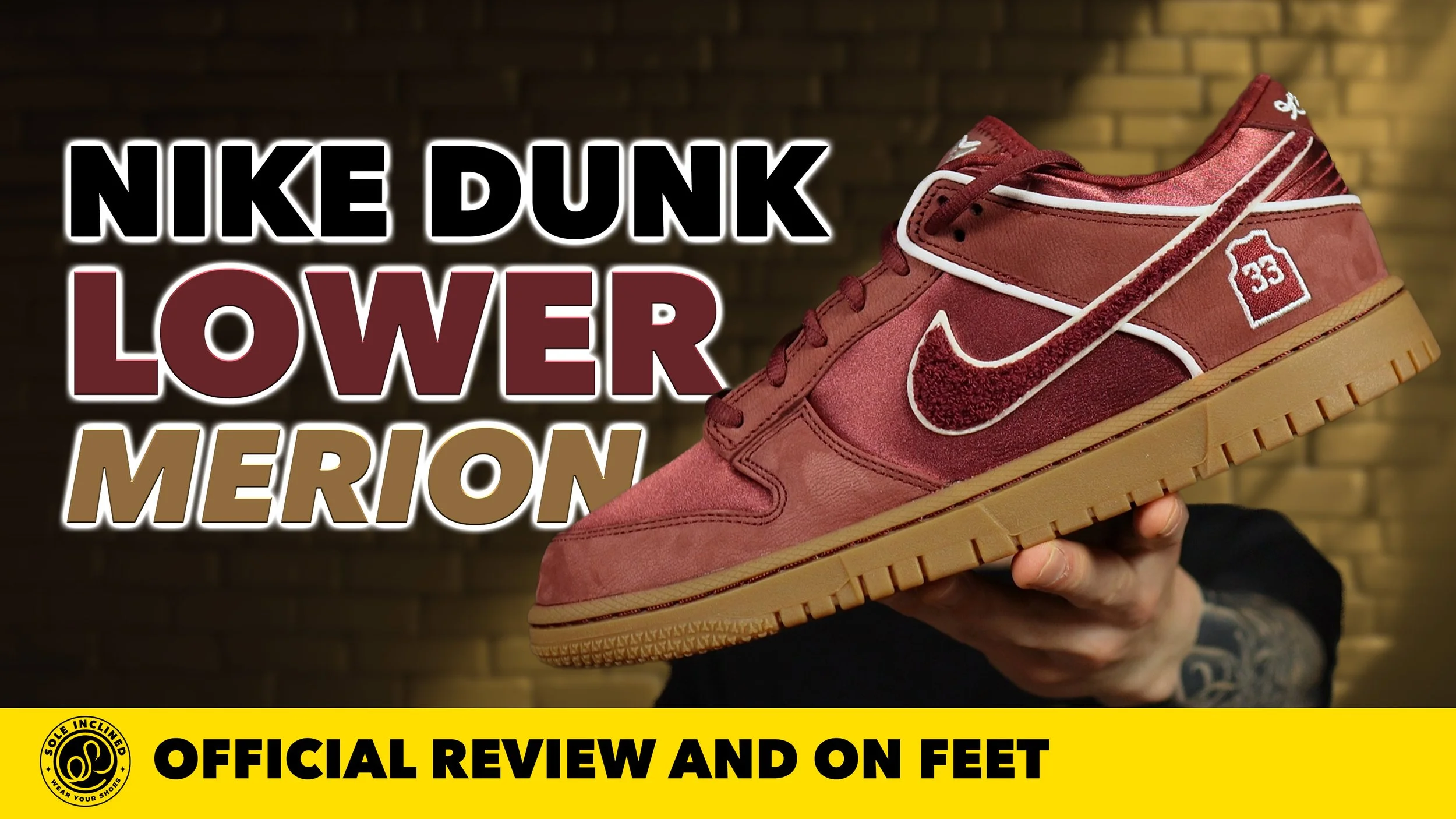 Nike Dunk Low Protro 'Lower Merion' In Depth Review and On Feet! Lace Swap Included.