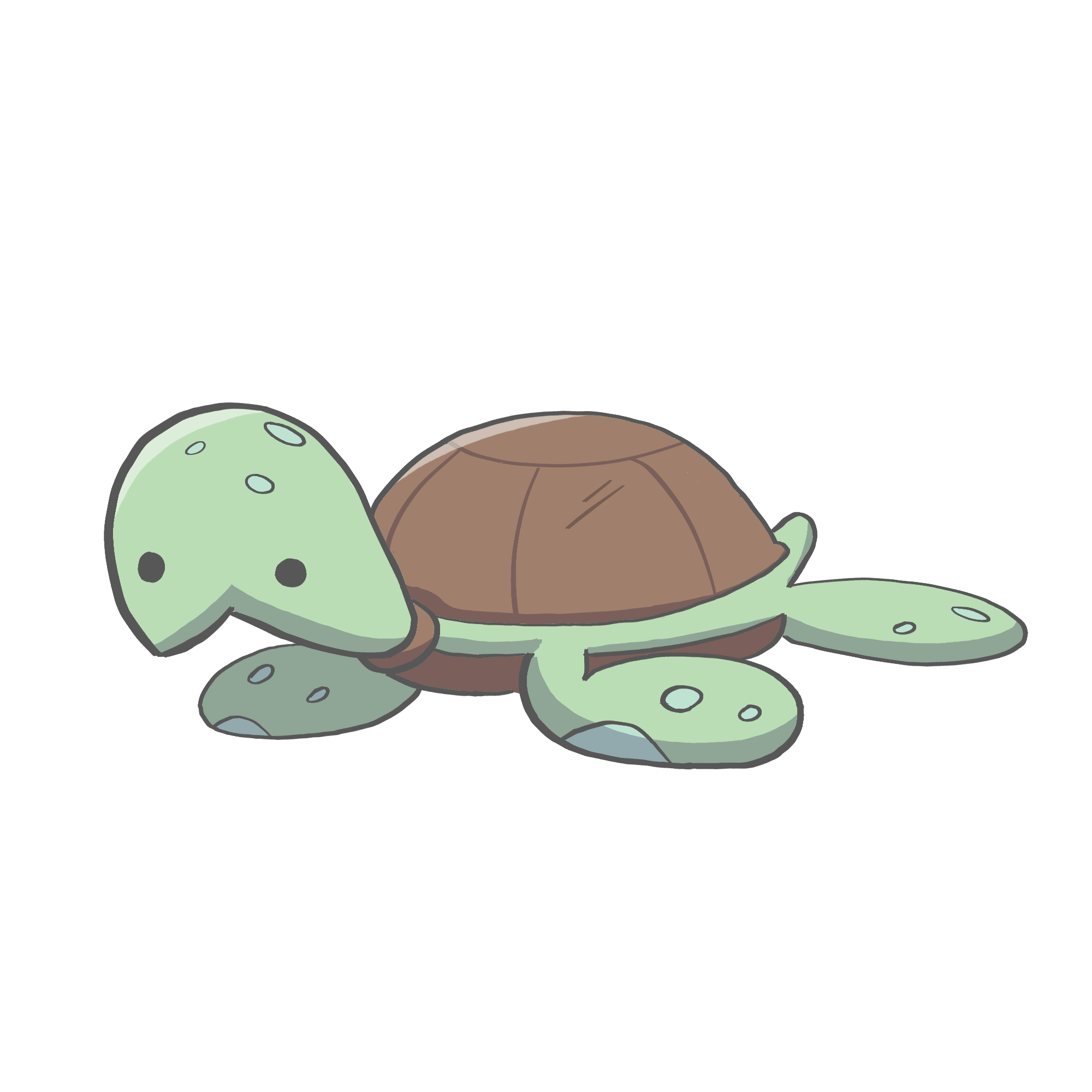 Turtle.png
