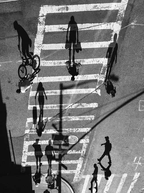 Street zebras
