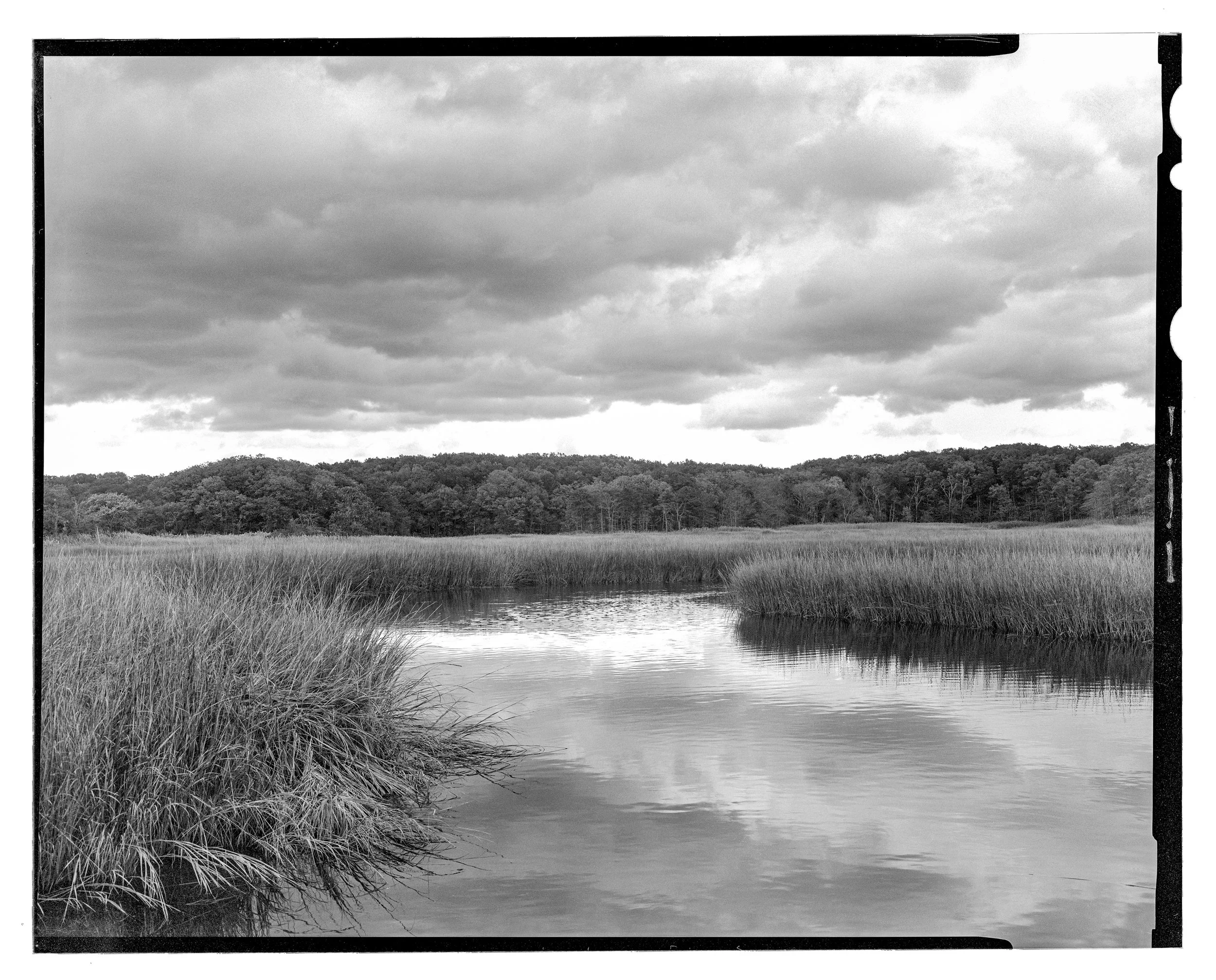 Project 3 Landscape 1.jpg