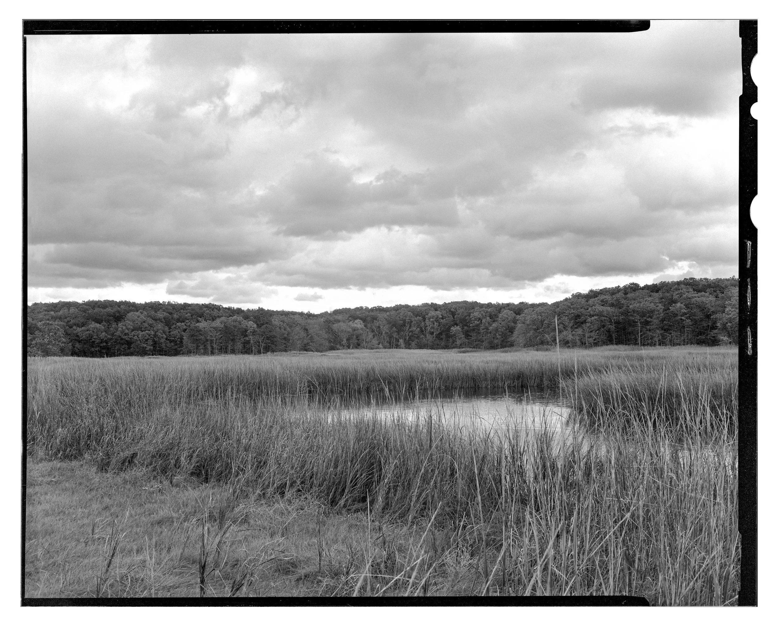 Project 3 Landscape 2.jpg