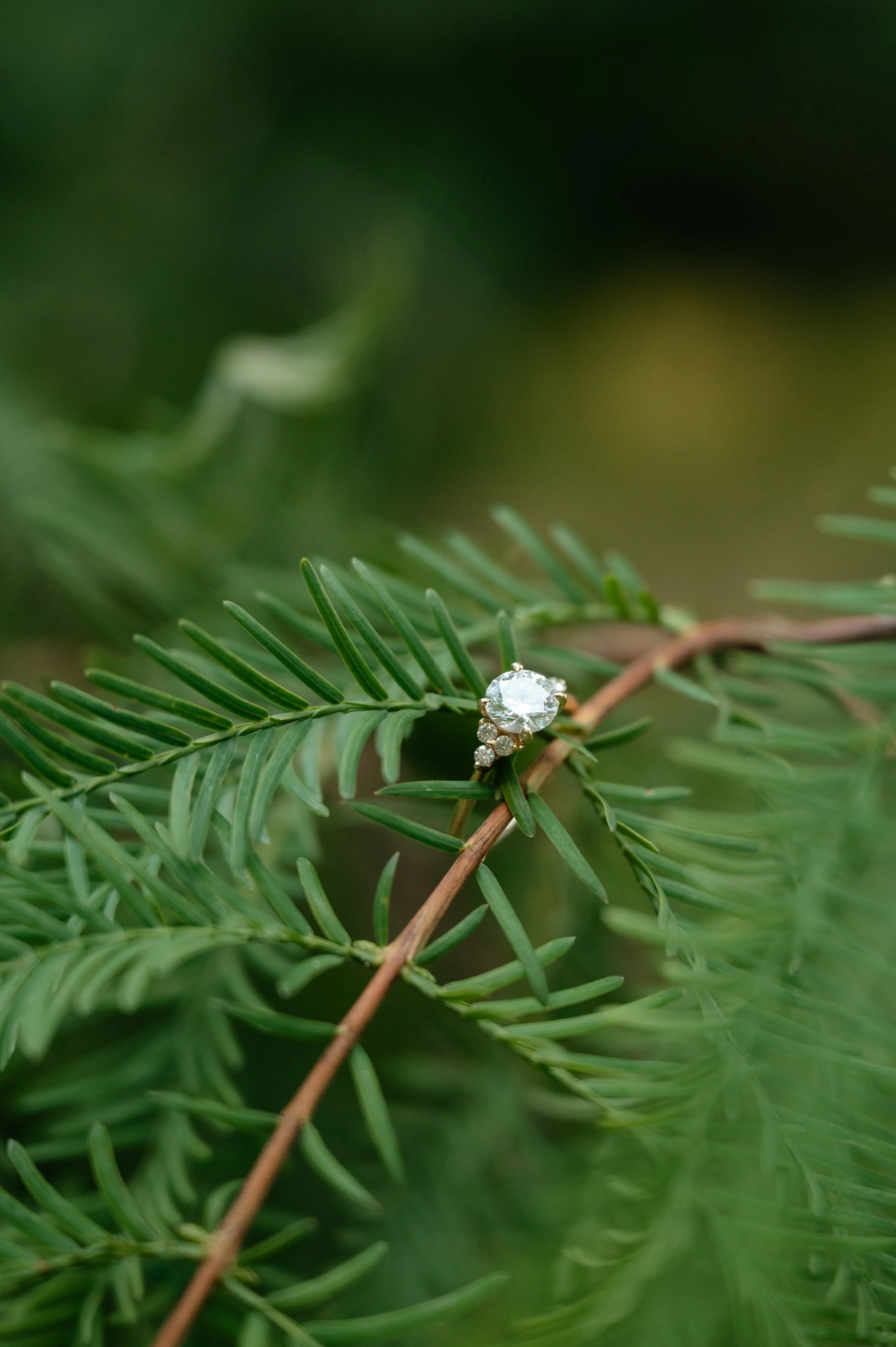 alondra-misael-engagement-69.jpg