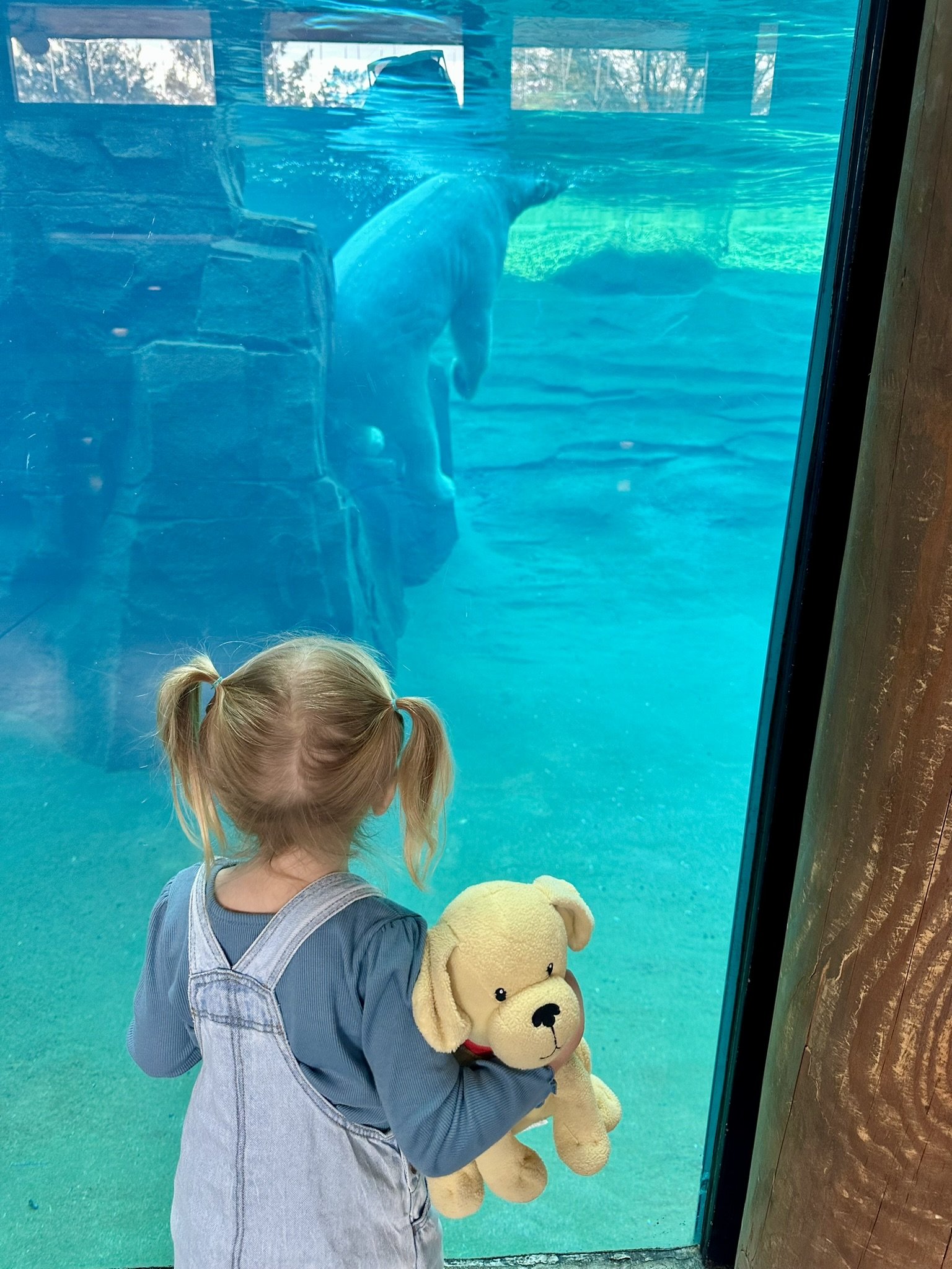 kansas city zoo and aquarium_kids in kc_experience gift (3).JPEG