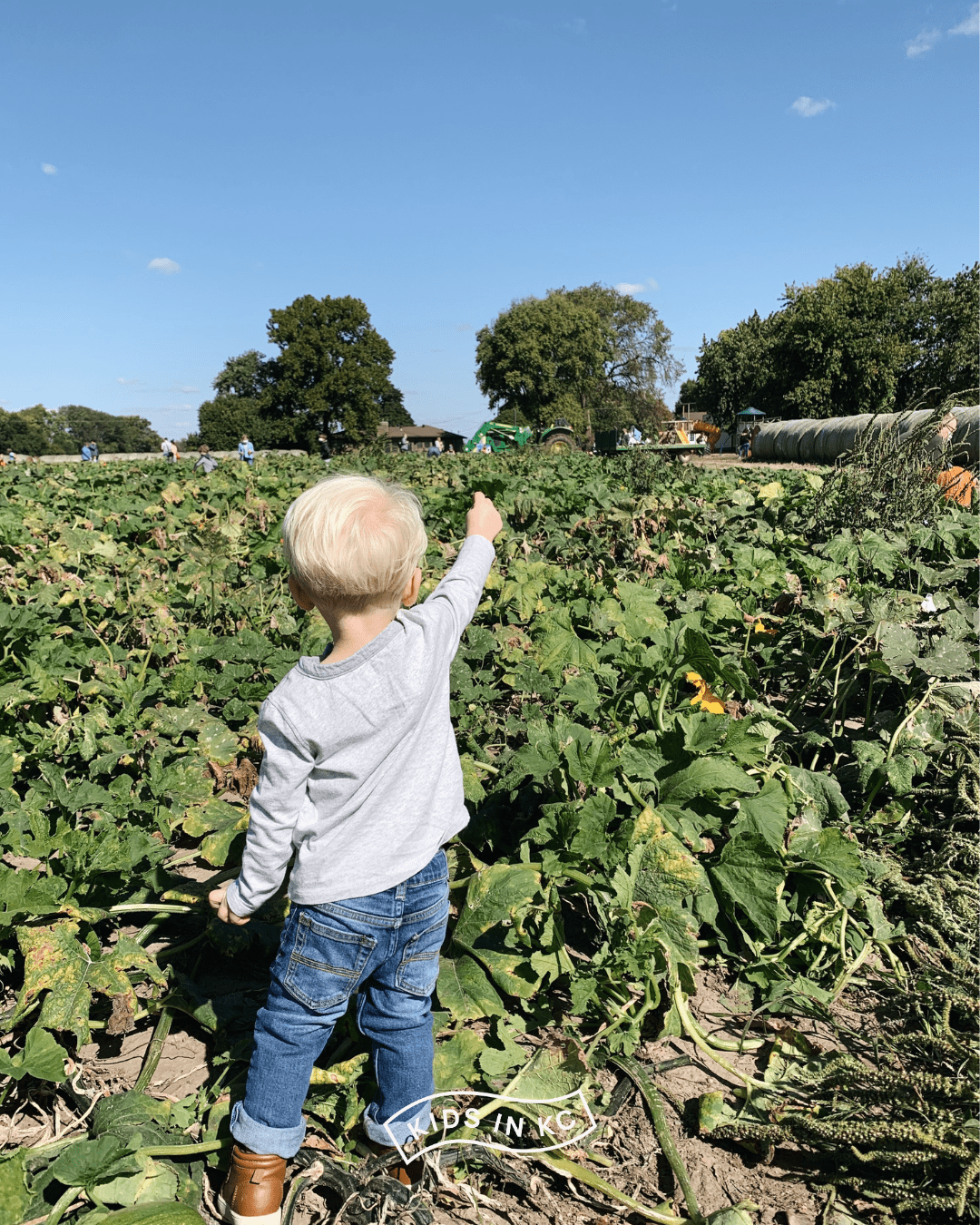 Kansas City Fall Break 10 Ideas $10 and Under — Kids In KC