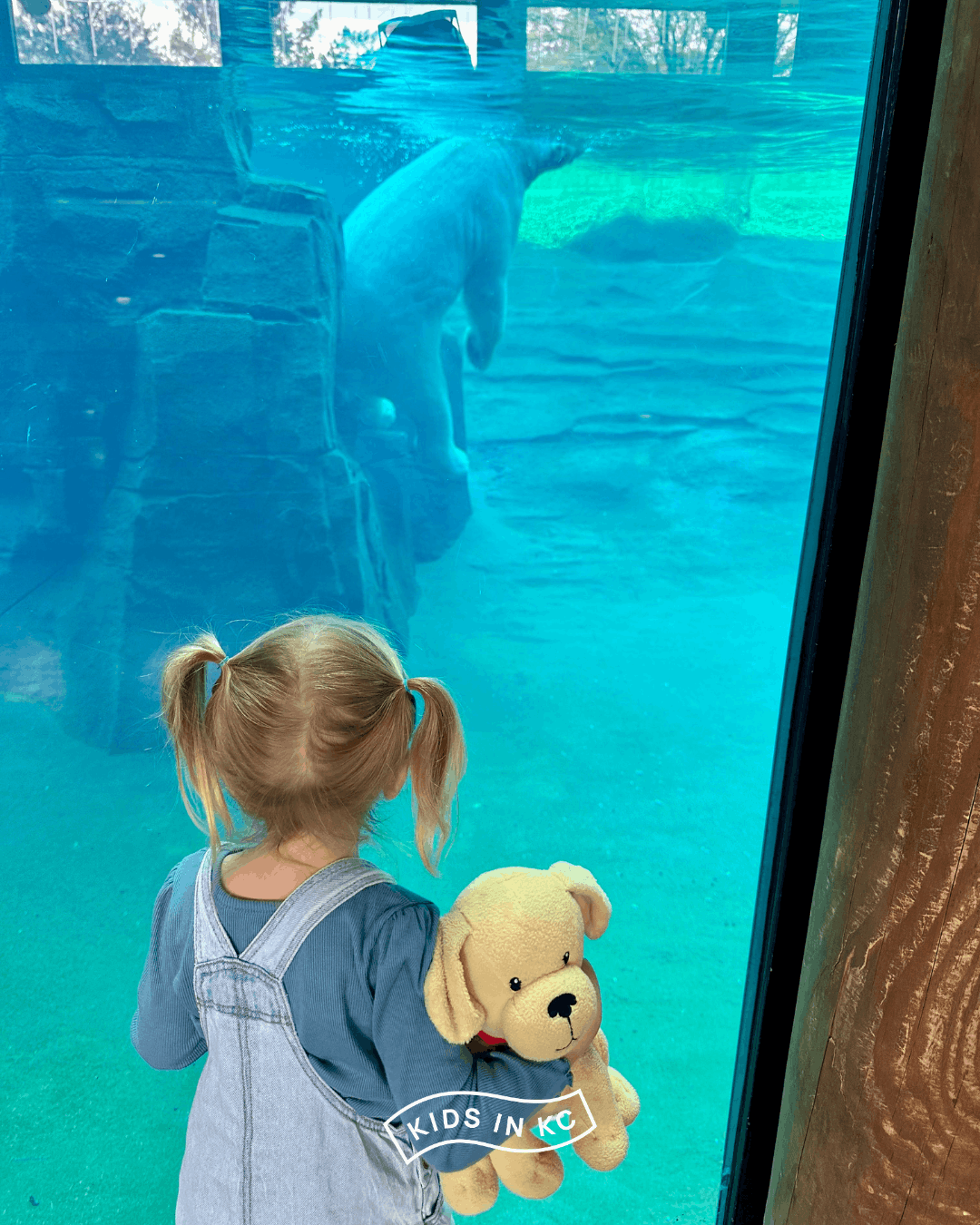 getout pass kansas city_kidsinkc_kansas city zoo.png