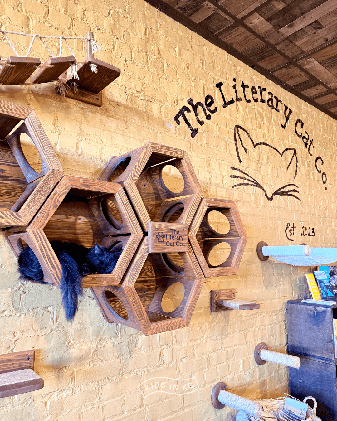 literary cat co_pittsburg kansas_kidsinkc (4).png