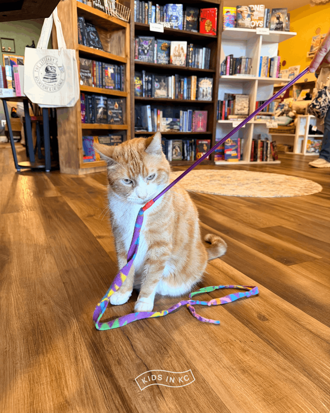 literary cat co_pittsburg kansas_kidsinkc (1).png