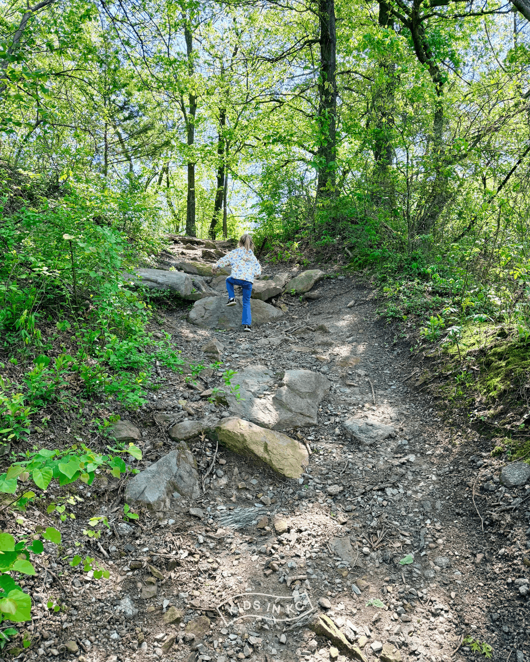 wilderness park_frontenac kansas_kidsinkc (1).png