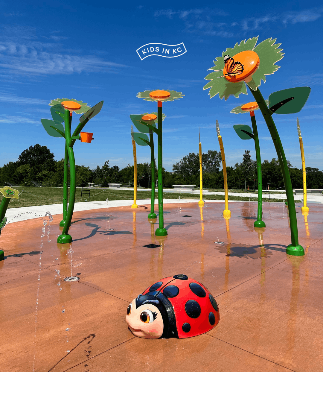 civic campus_kidsinkc_splash park_basehor.png