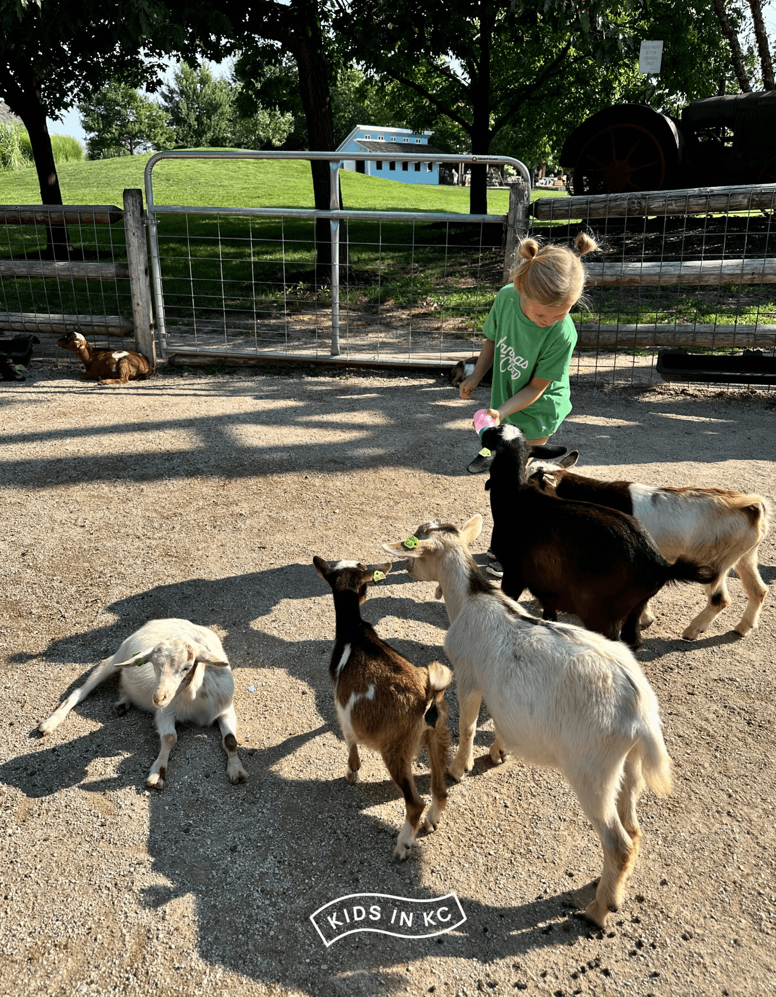 afforable kansas city activity_kidsinkc_deanna rose farmstead (1).png