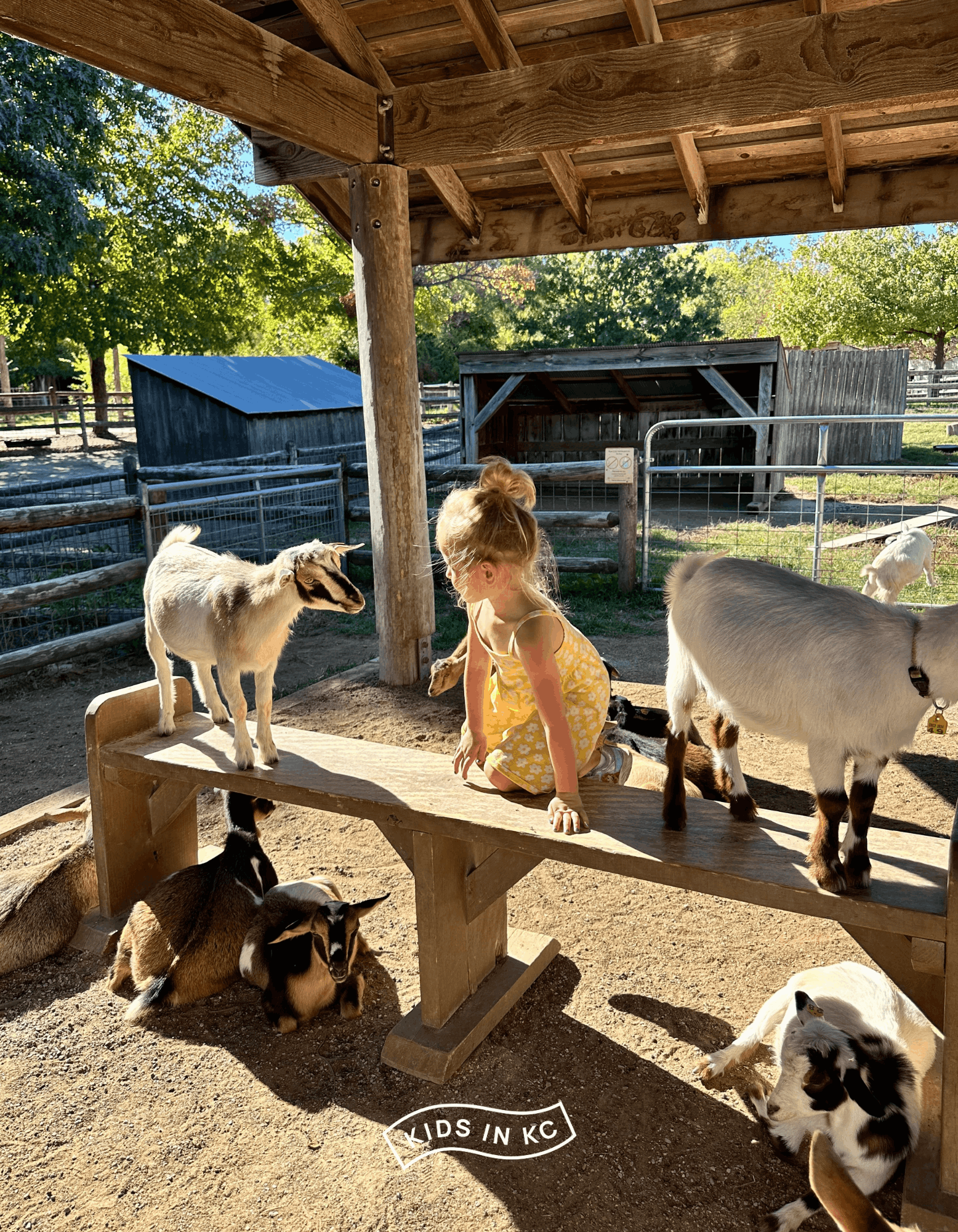 afforable kansas city activity_kidsinkc_deanna rose farmstead (3).png