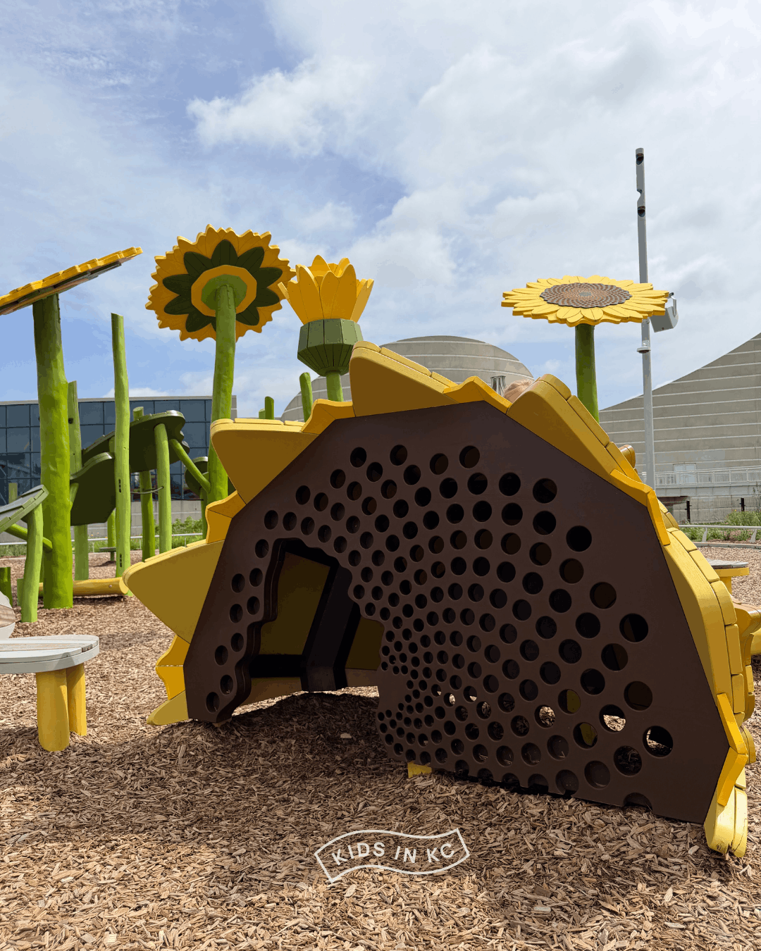 Exploration Place_Wichita_Kids In KC_sunflower meadows_advenutre playscape (2).png