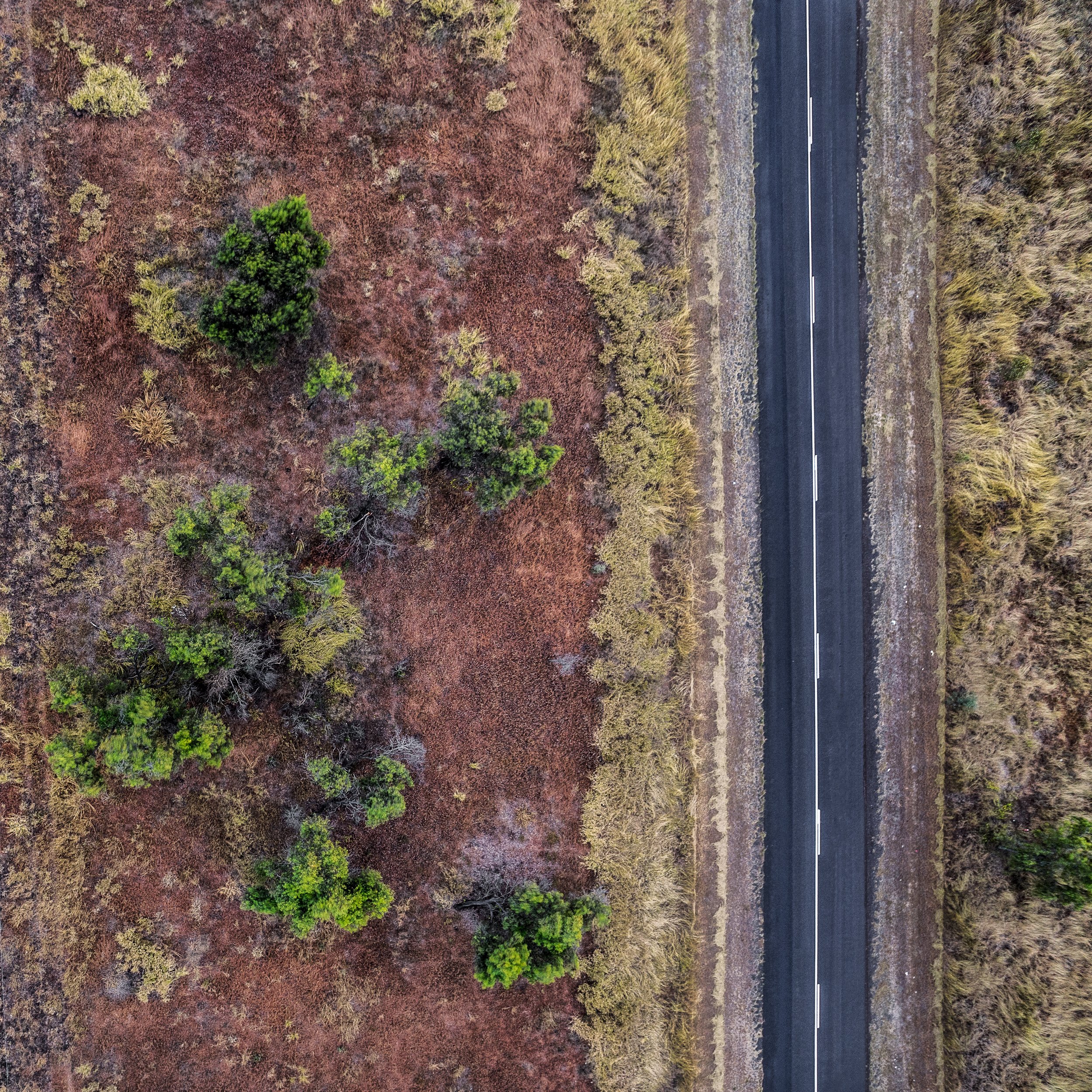 Country Road