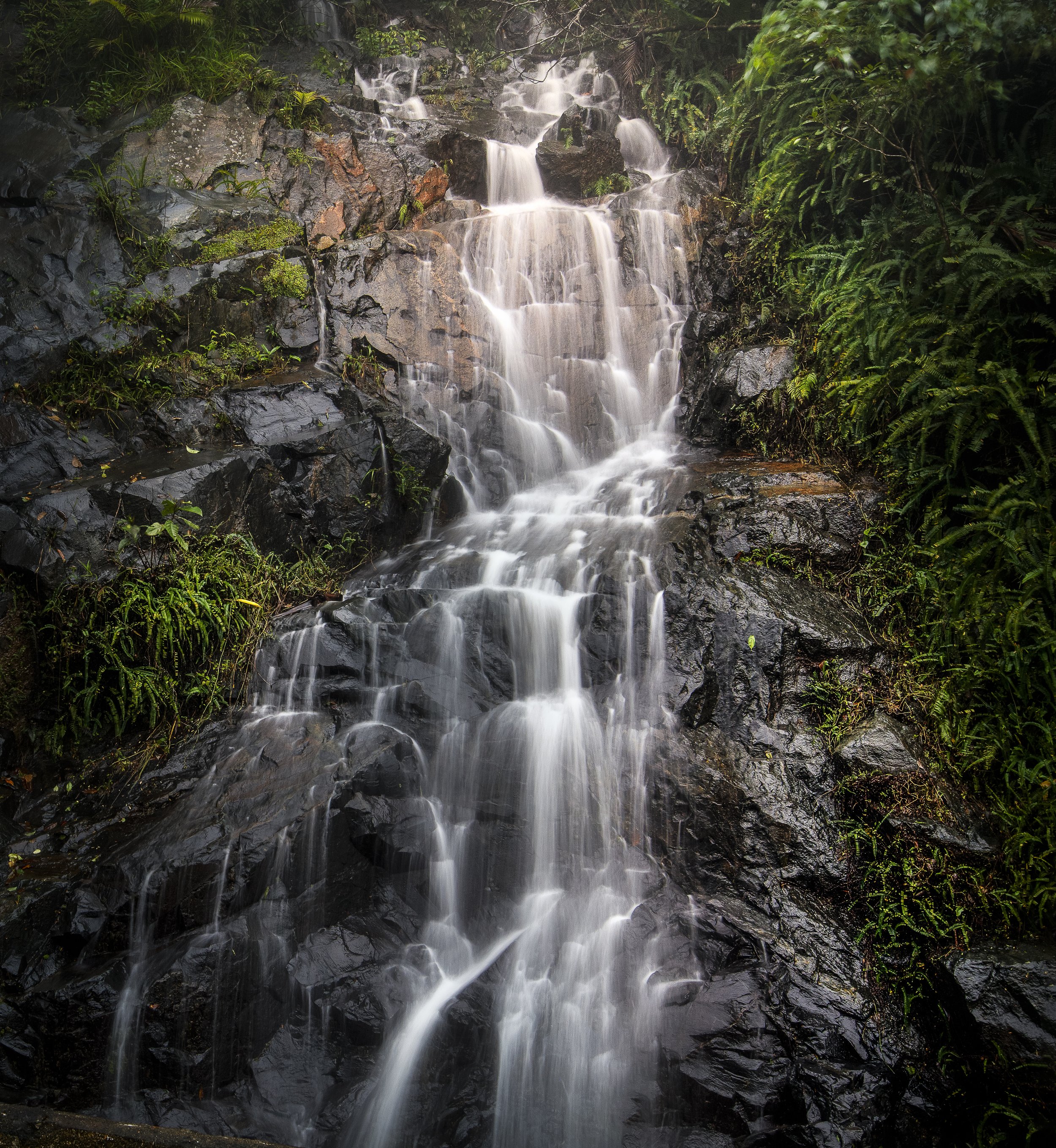Eungella Range Waterfall
