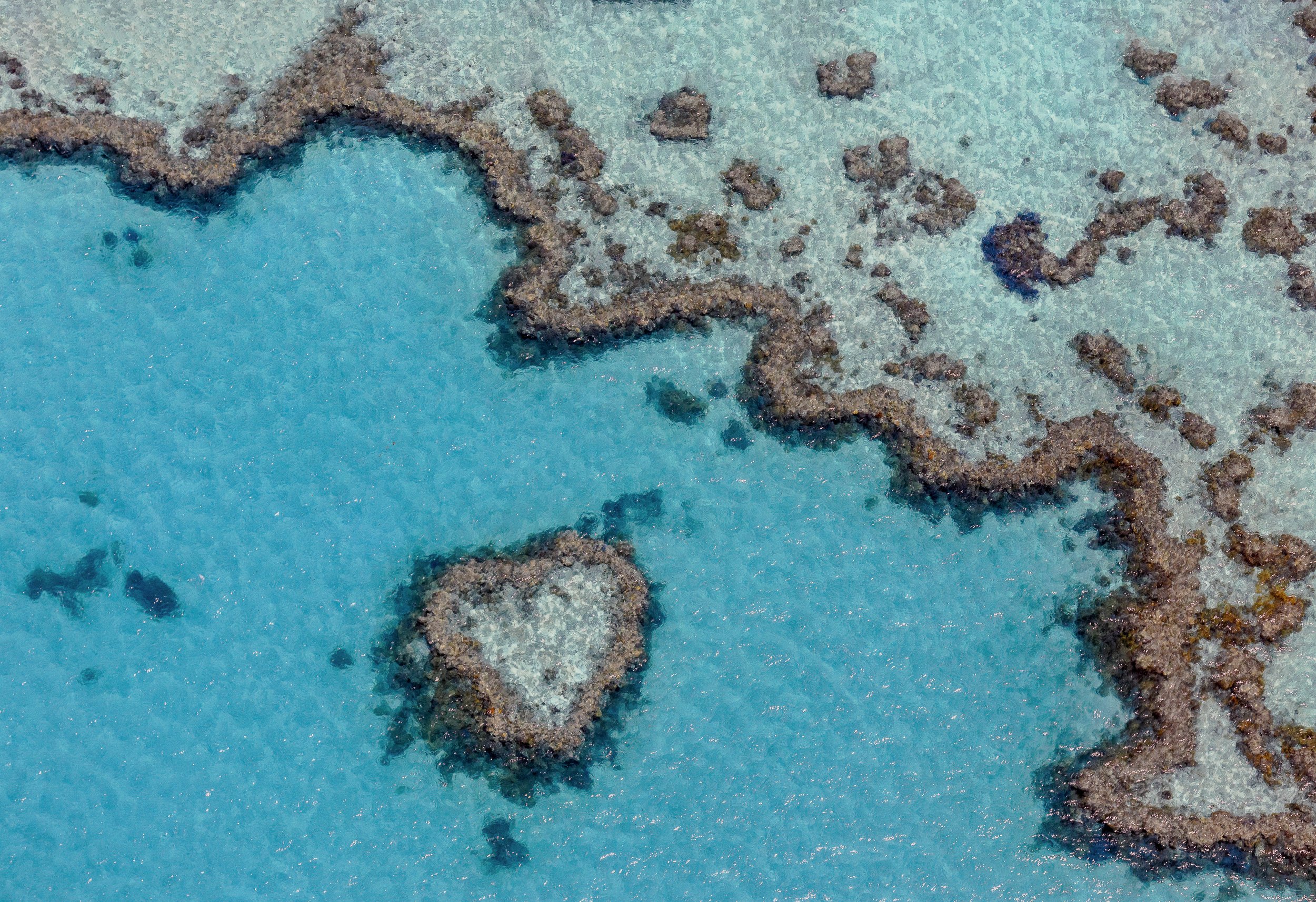 Heart Reef