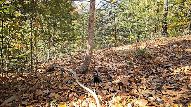 1000009120.gif