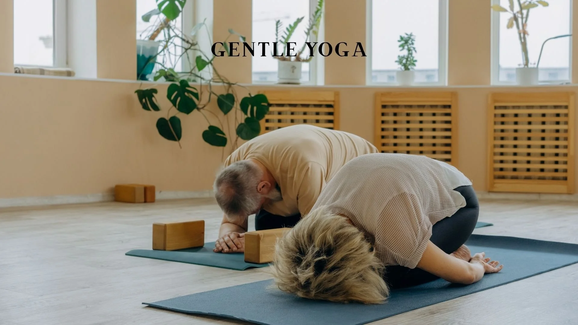 Gentle.jpg