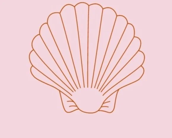 Basic Birth Package — Alana Corrin - Doula Services