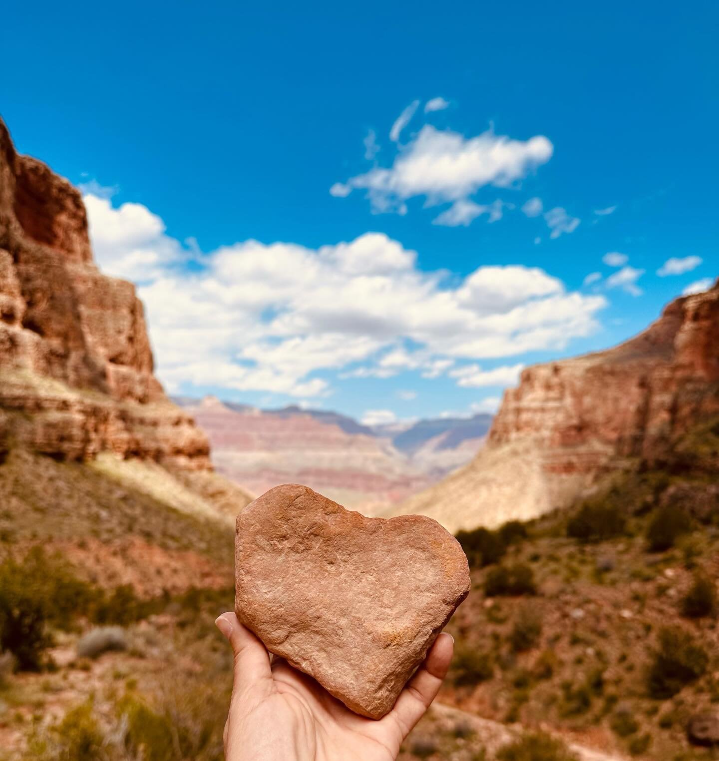 E🧡RTH DAY was yesterday but really every day should be. I was never an outdoorsy kid growing up but have learned that the outdoors are a huge part of who I am as an adult. I am awed by all the natural beauty that surrounds me daily. How lucky am I t