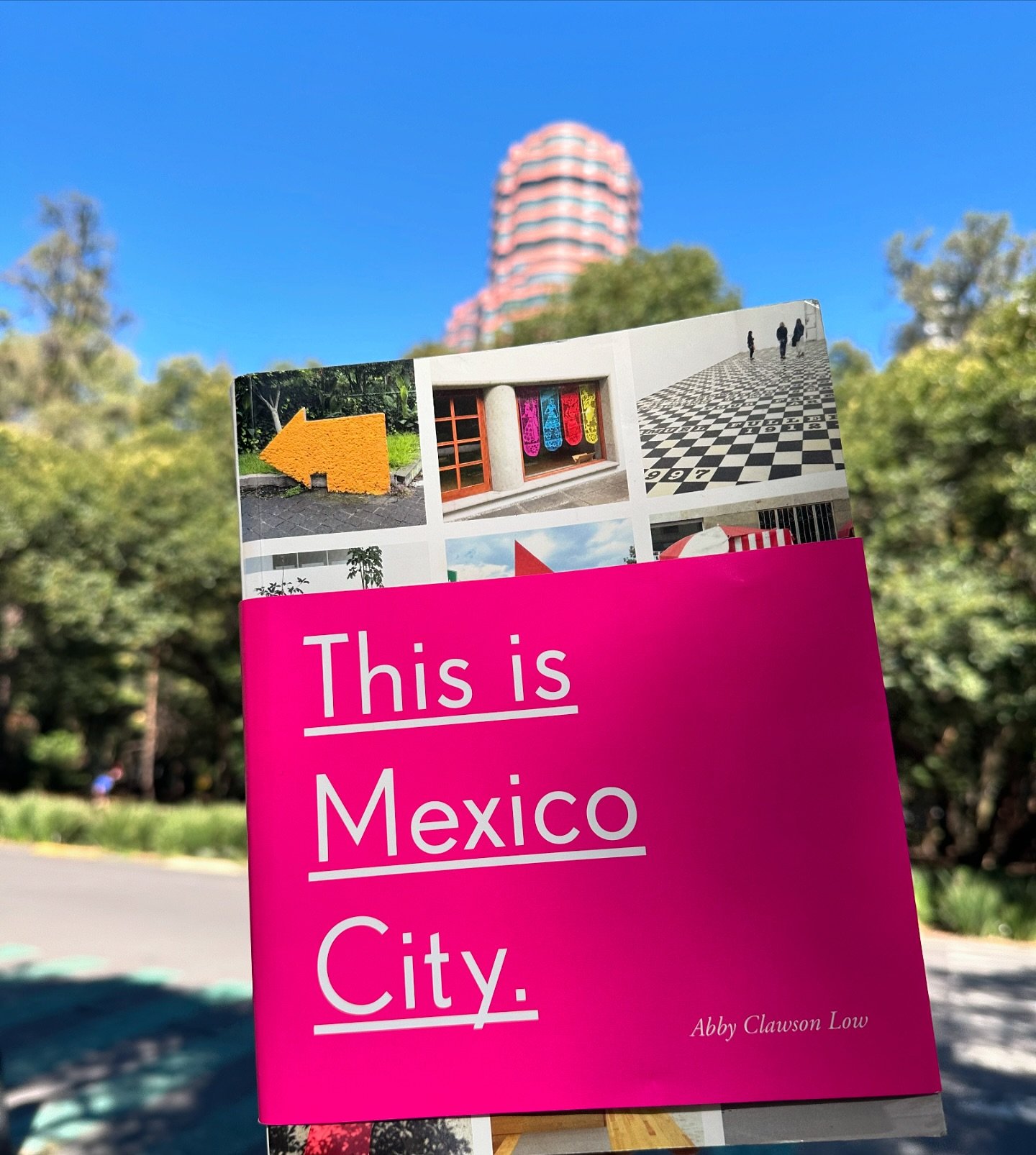 Mexico is the Sh&iexcl;t 💃🏻🕺🏾 This book has been a great guide to help us manage the many neighborhoods of this amazing city. Thank you @trixysf ! 
C
D
M
X
#cdmx #mexicocity #mexico #central #travel