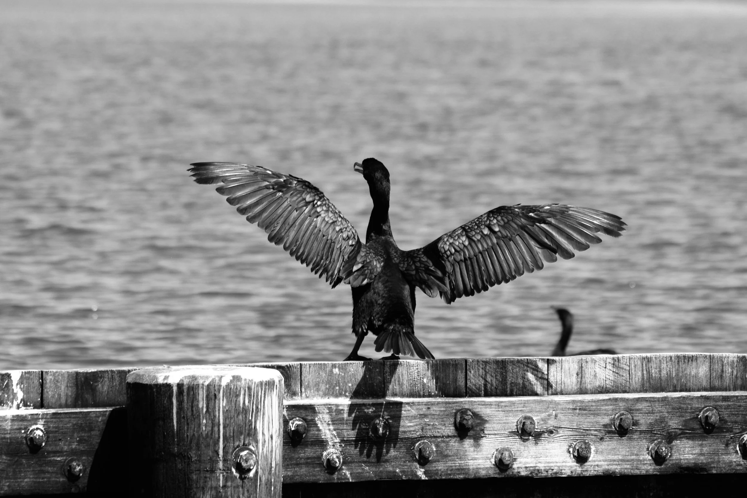 DSC_0639.jpeg