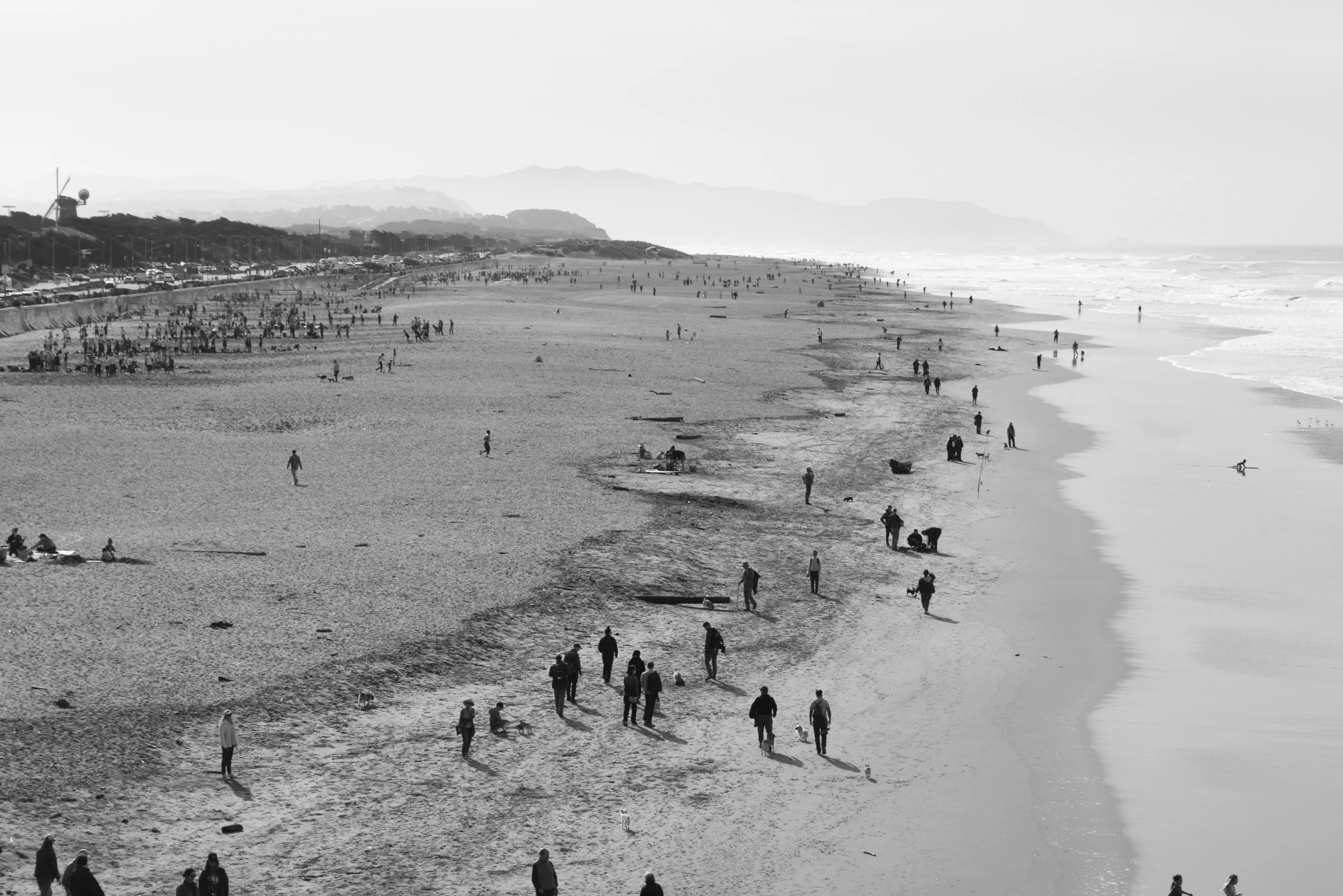 DSC_0451.jpeg
