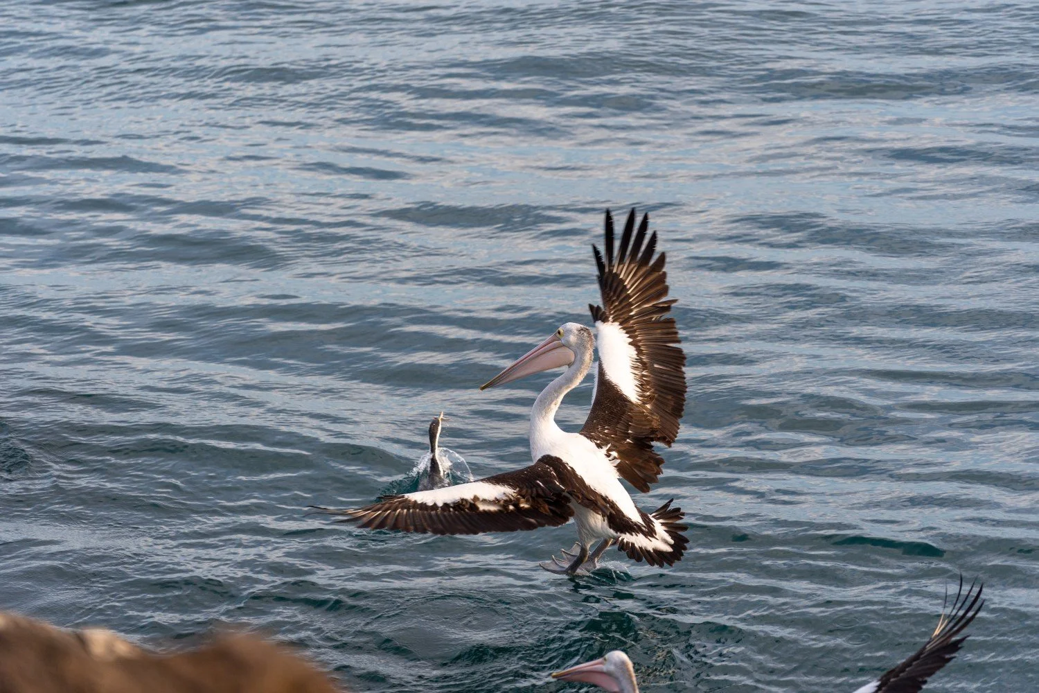 DSC04665 (25percent).jpg