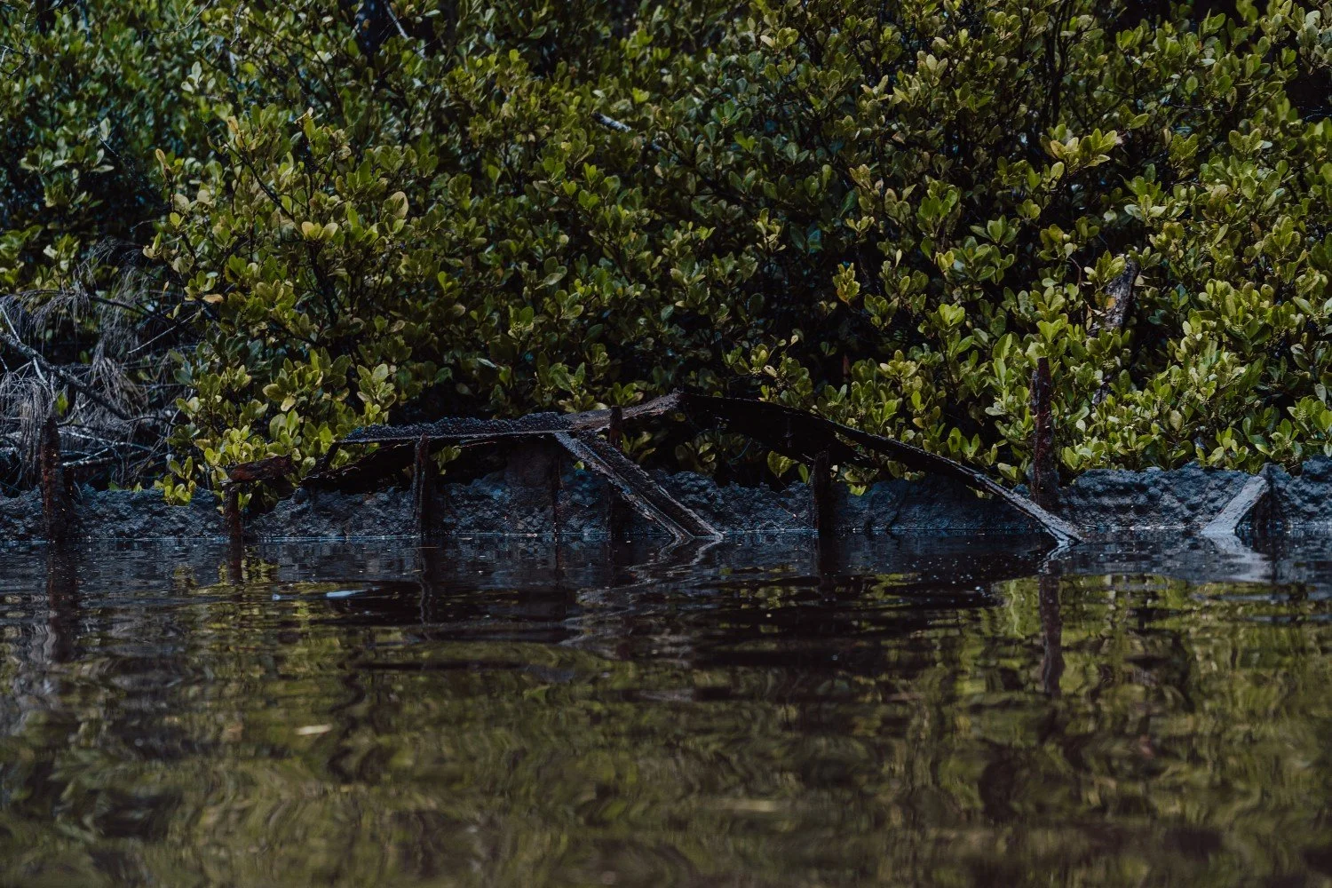 DSC05122 (25percent).jpg