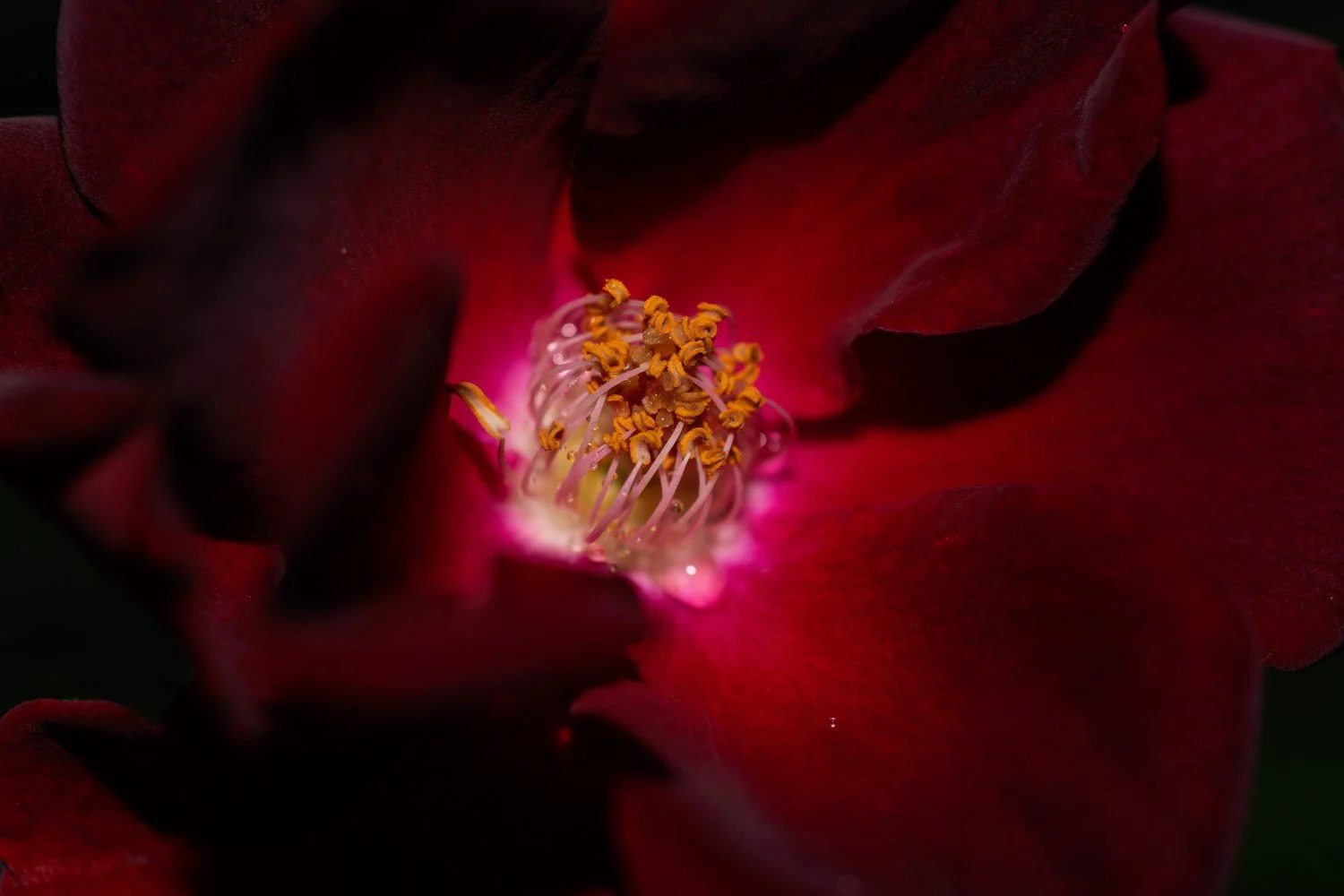 DSC04409 (25percent).jpg