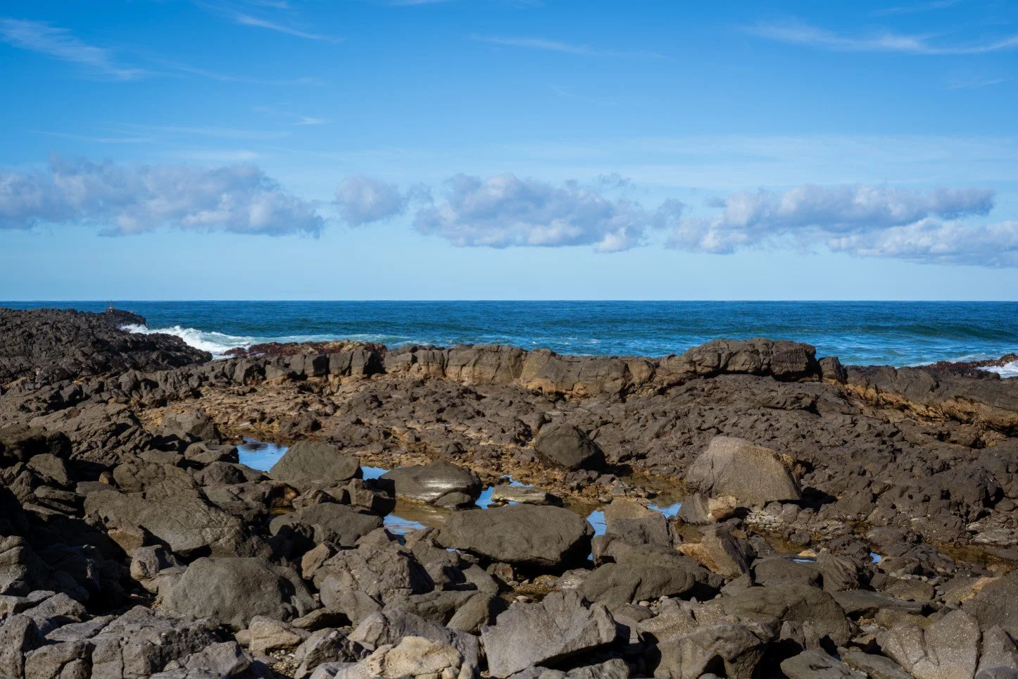 DSC04958 (25percent).jpg
