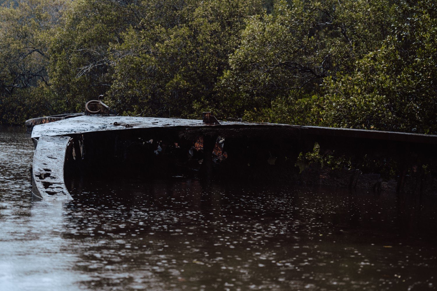 DSC05117 (25percent).jpg