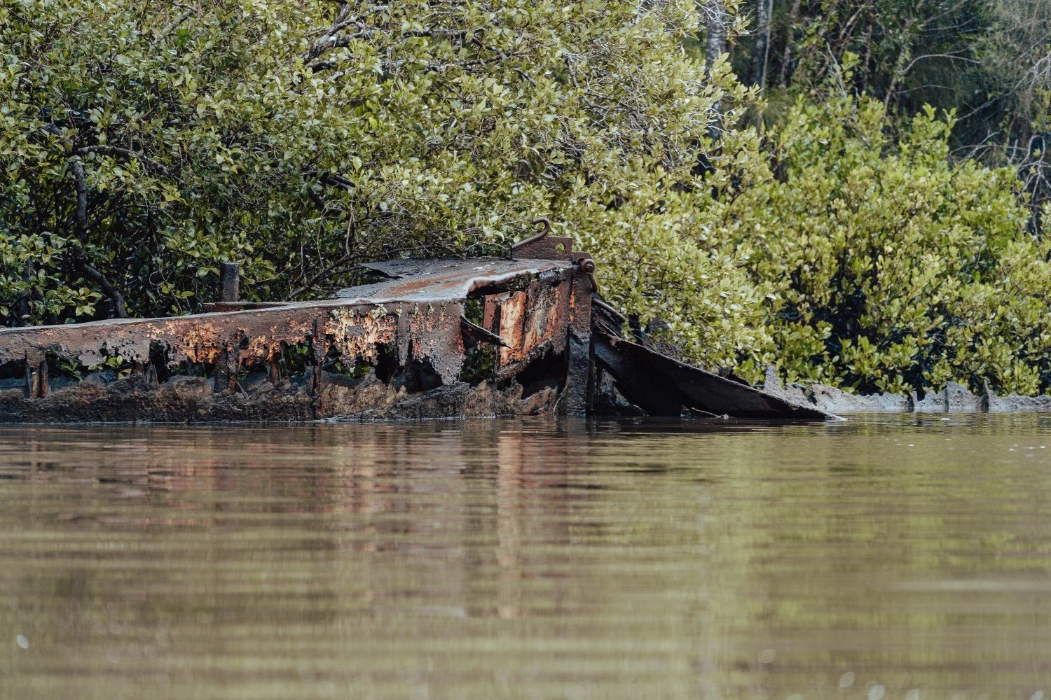 DSC05107 (25percent).jpg