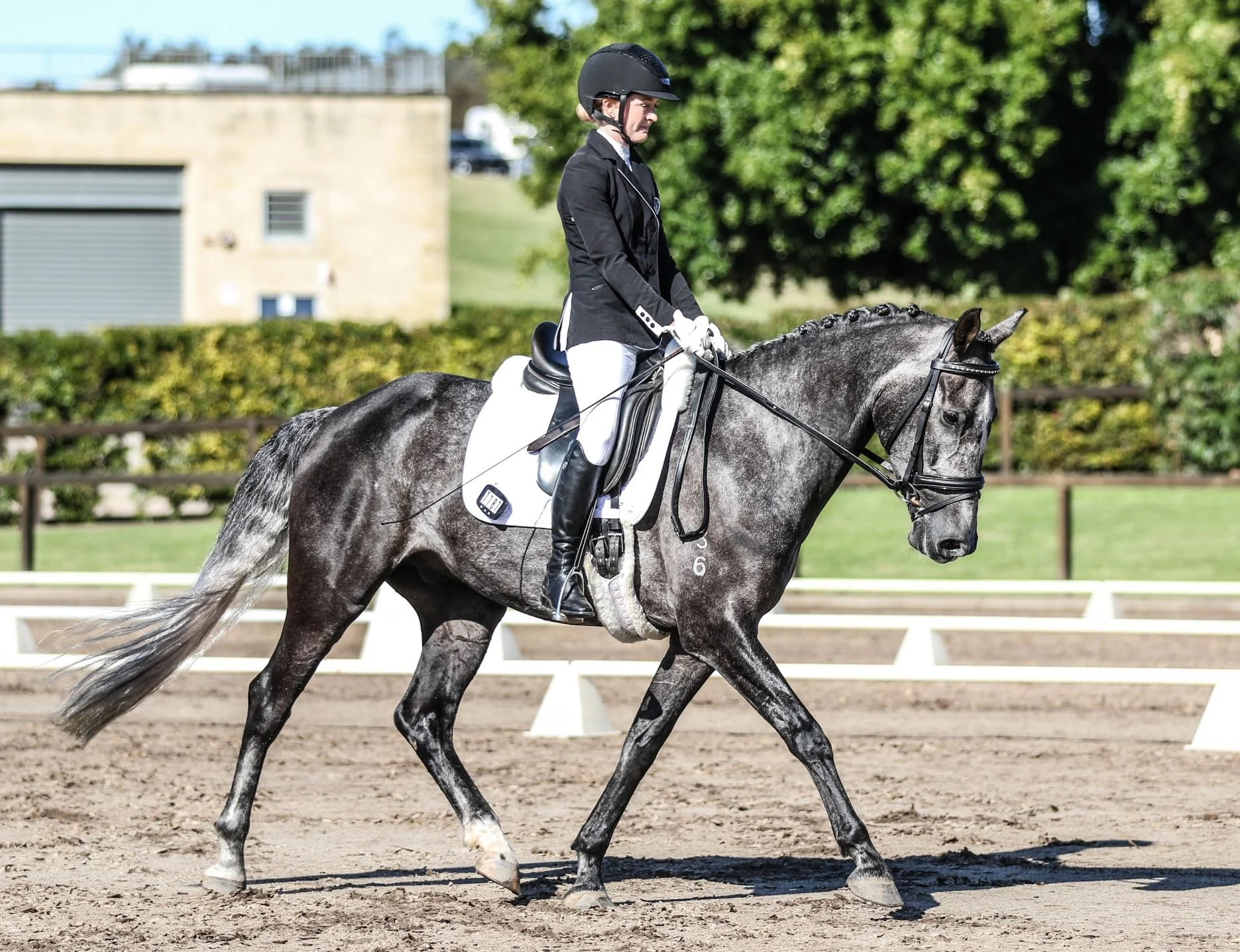 2022 Pointscore Greenwood Divine Show -BM Photography.jpg