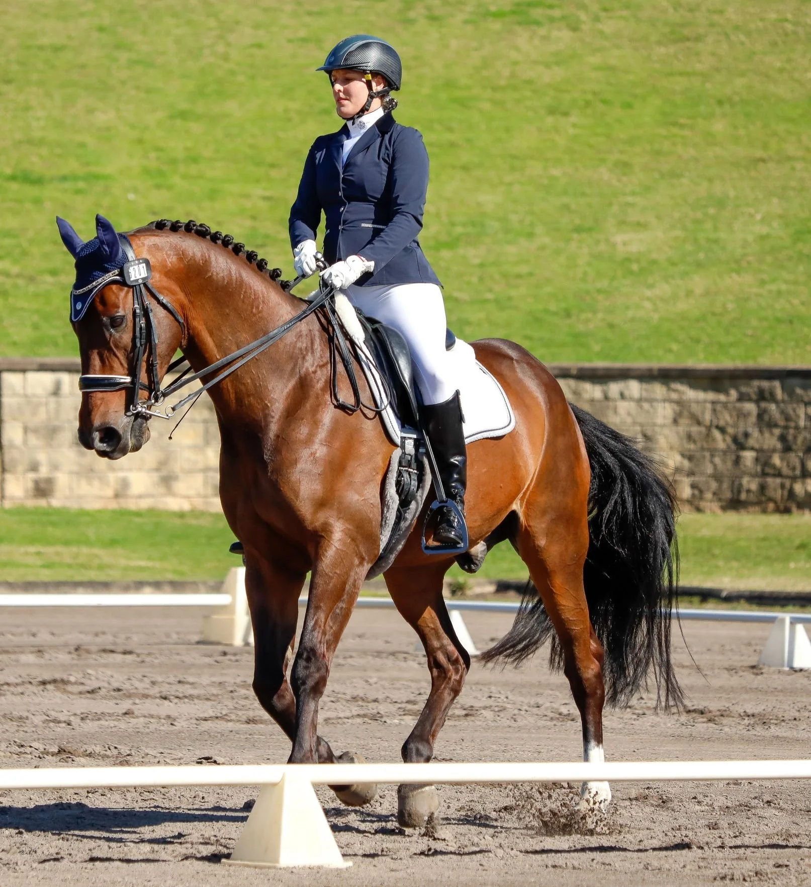 2022 Pointscore Astraeus - Chloe Diames Photography.jpg