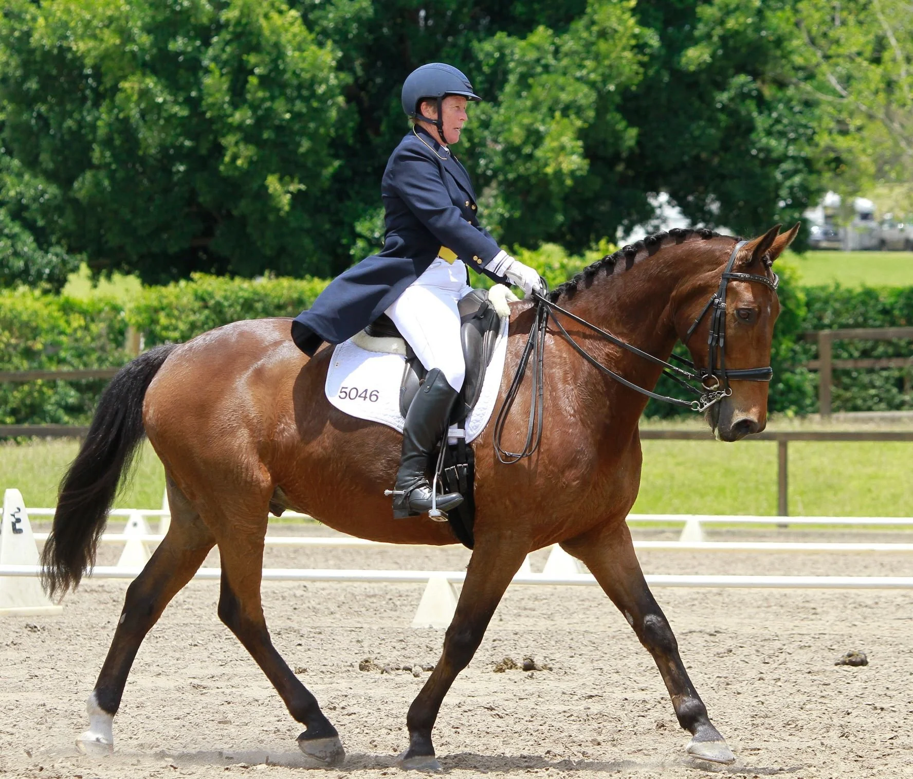 2022 Pointscore Afrikaner - Beautiful A Photography.jpg