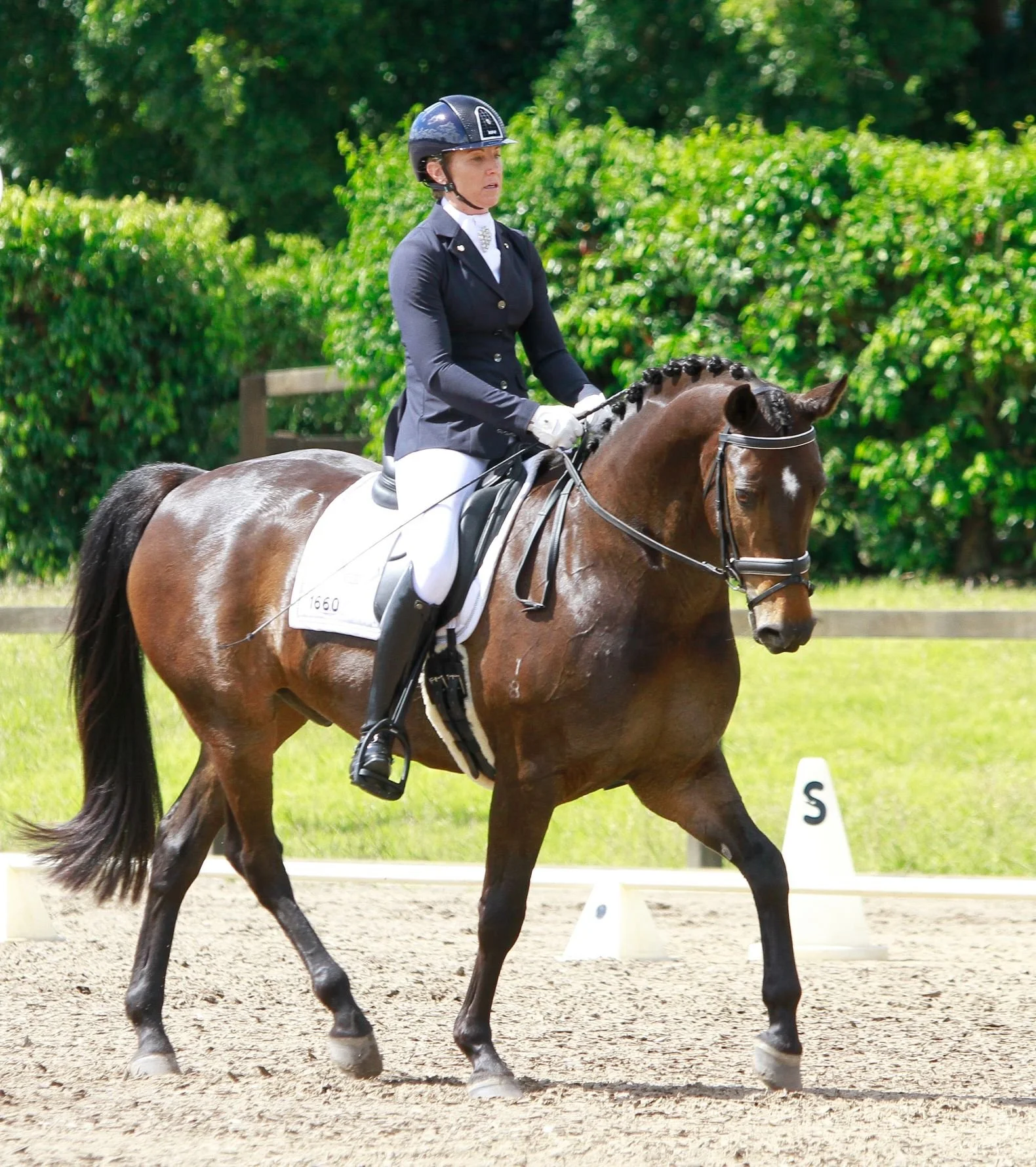 2022 Pointscore Solar Hit - Beautiful A.jpg