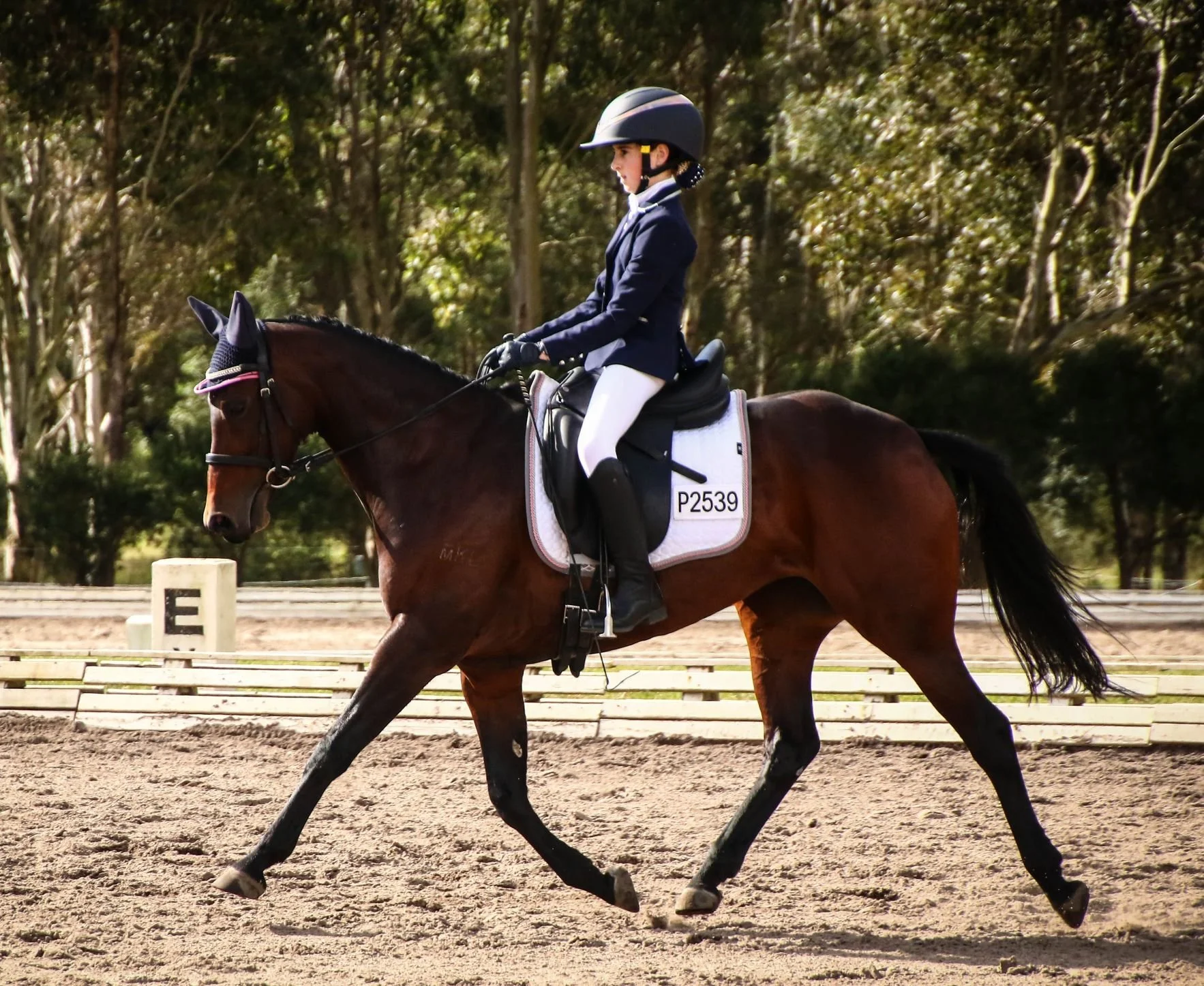 2022 Pointscore Kristalena Latoya  - equusbybrittany.jpg