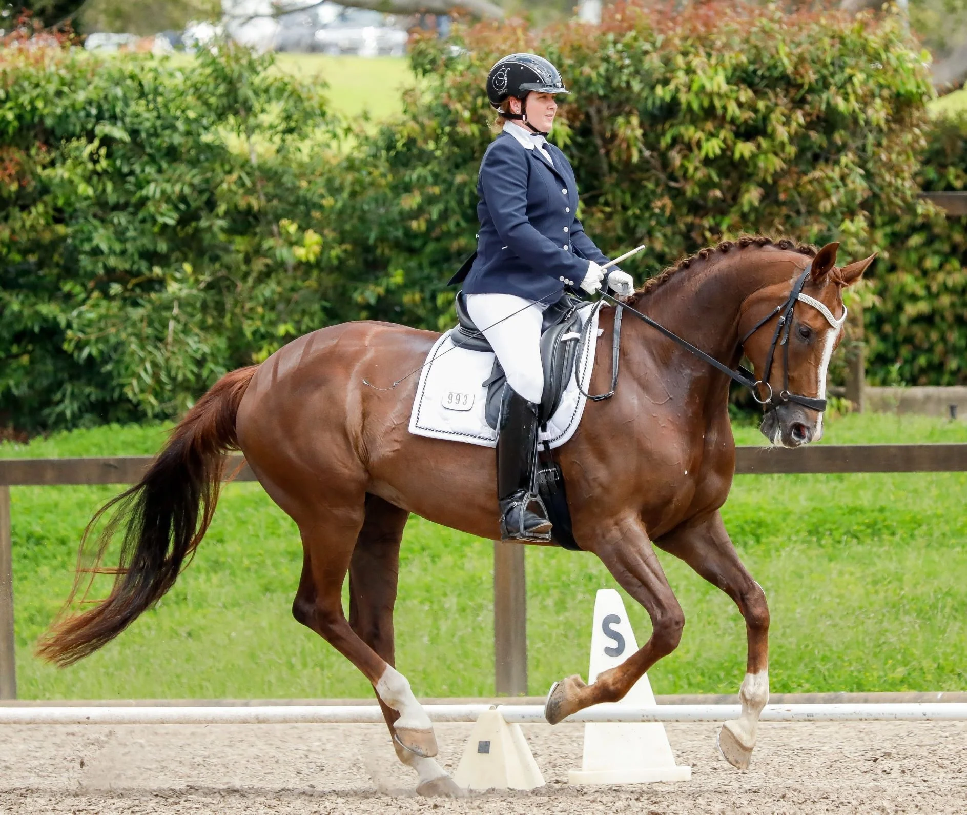 2022 Pointscore Sassafras Hollywood Hit - Chloe Diames.jpg