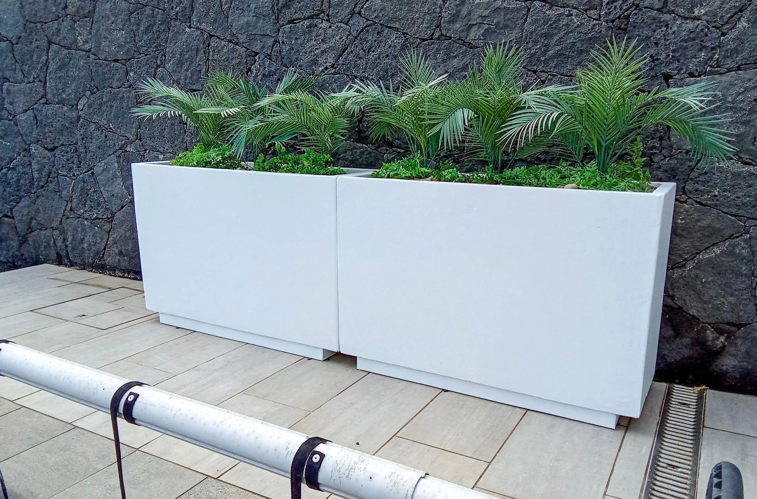 Fuera de Hoyo - front garden-3.jpg