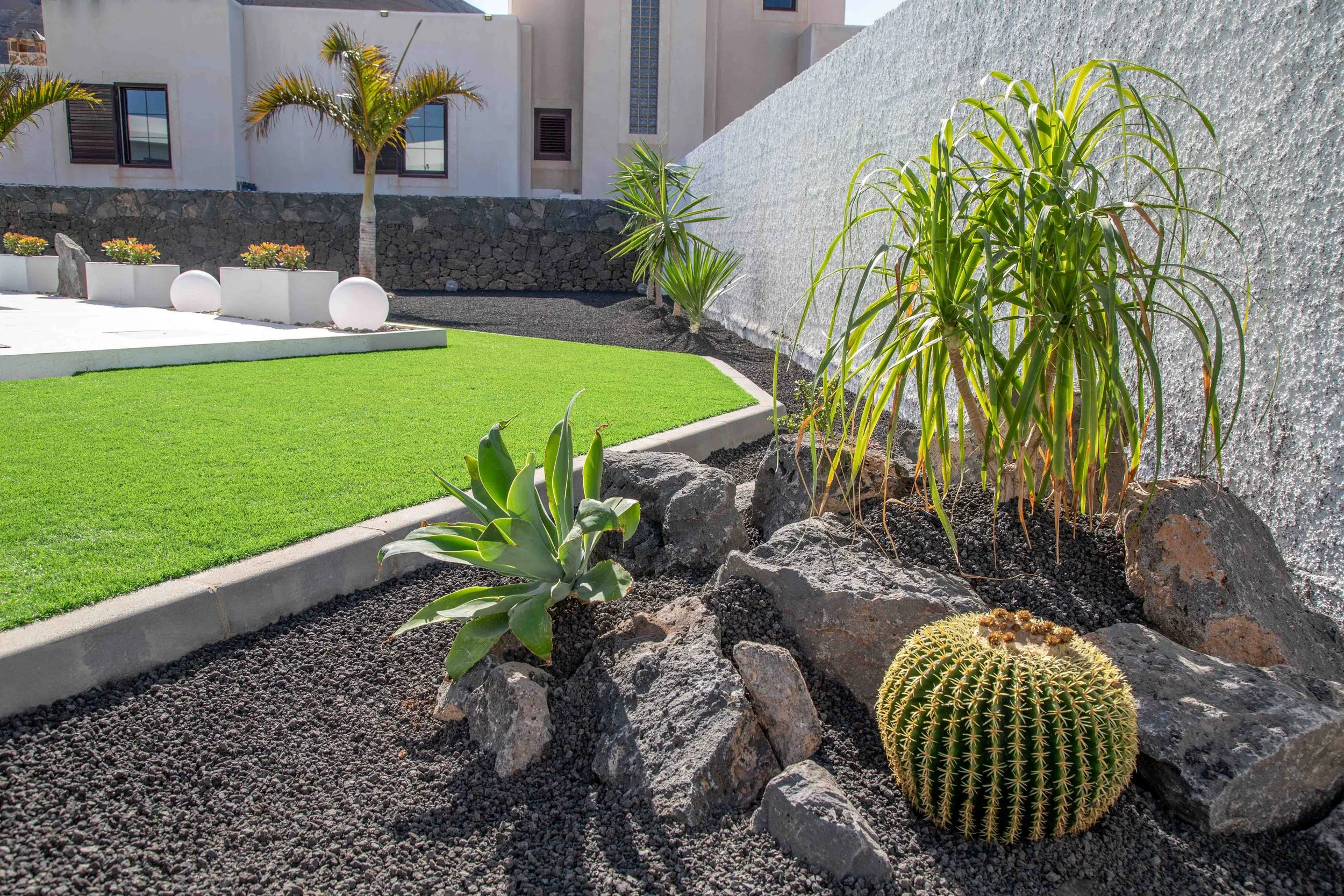 A landscaped yard with green grass, large rocks, cacti, and various desert plants, with walls and buildings in the background.