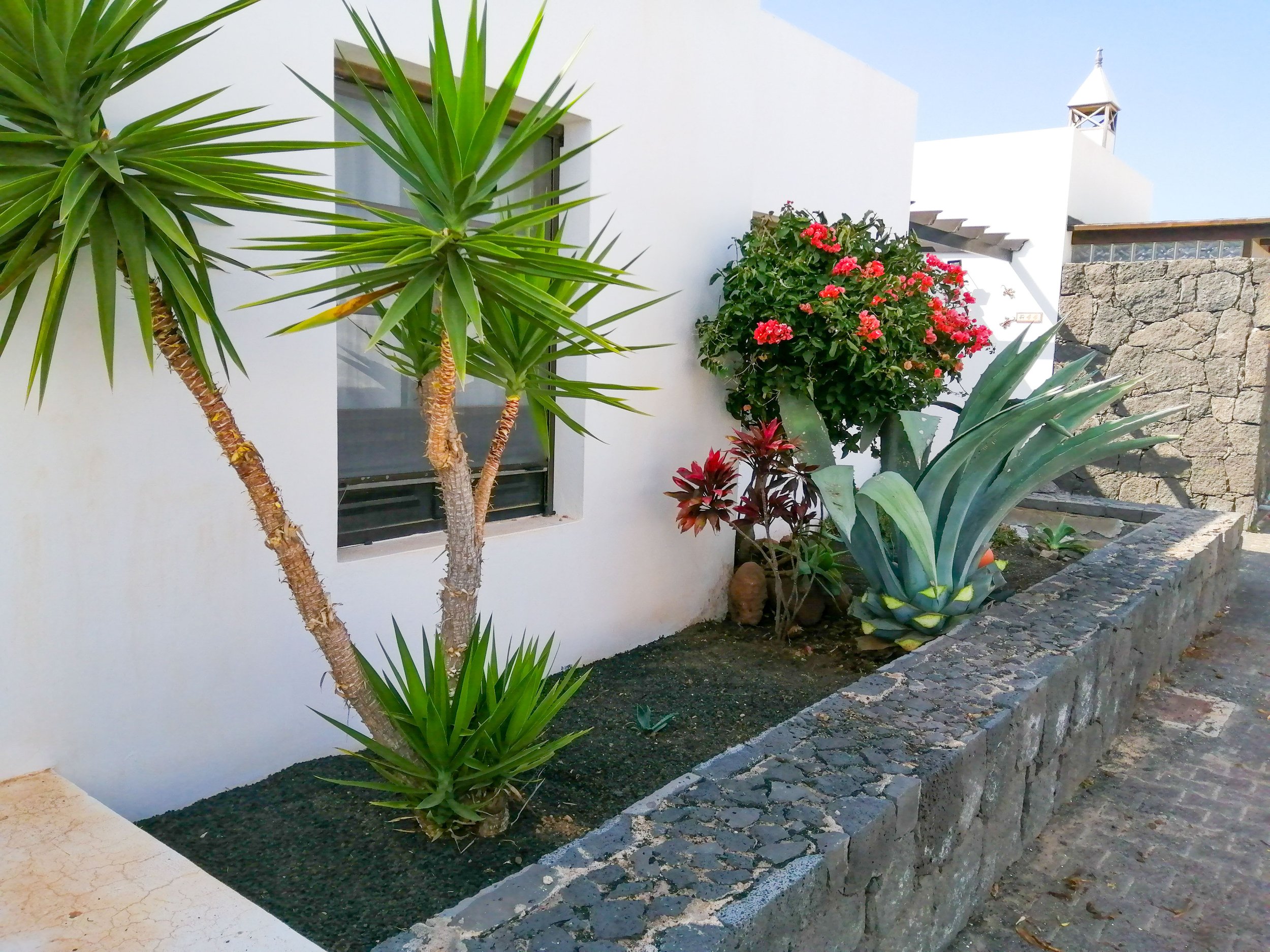 garden - la concha 44 - playa blanca-1.JPG